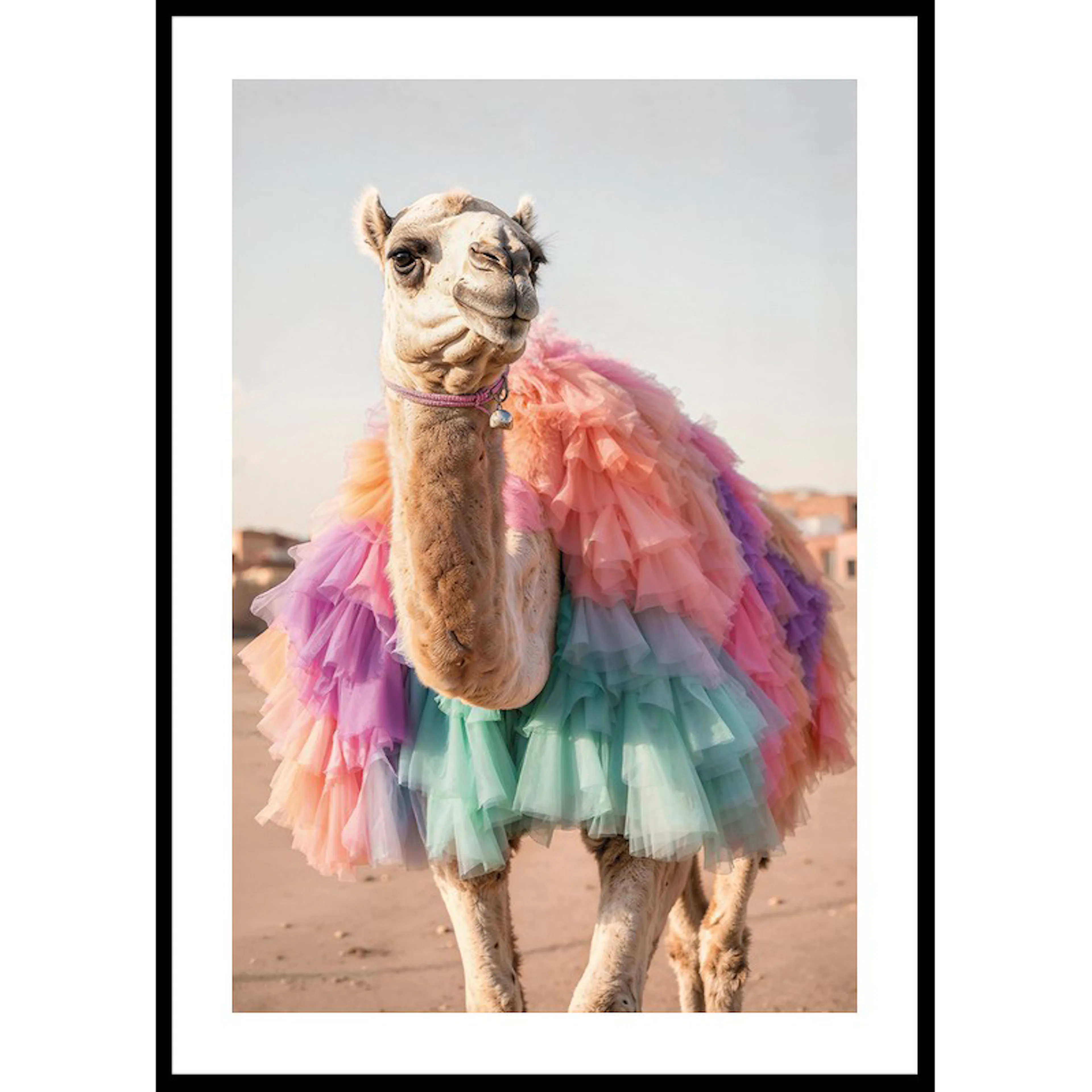 Camel In Colors 30x40 30x40 cm