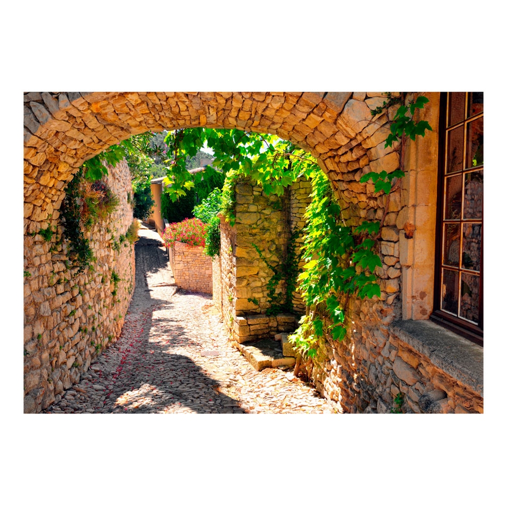 Fototapet Arkiio Självhäftande Summer In Provence