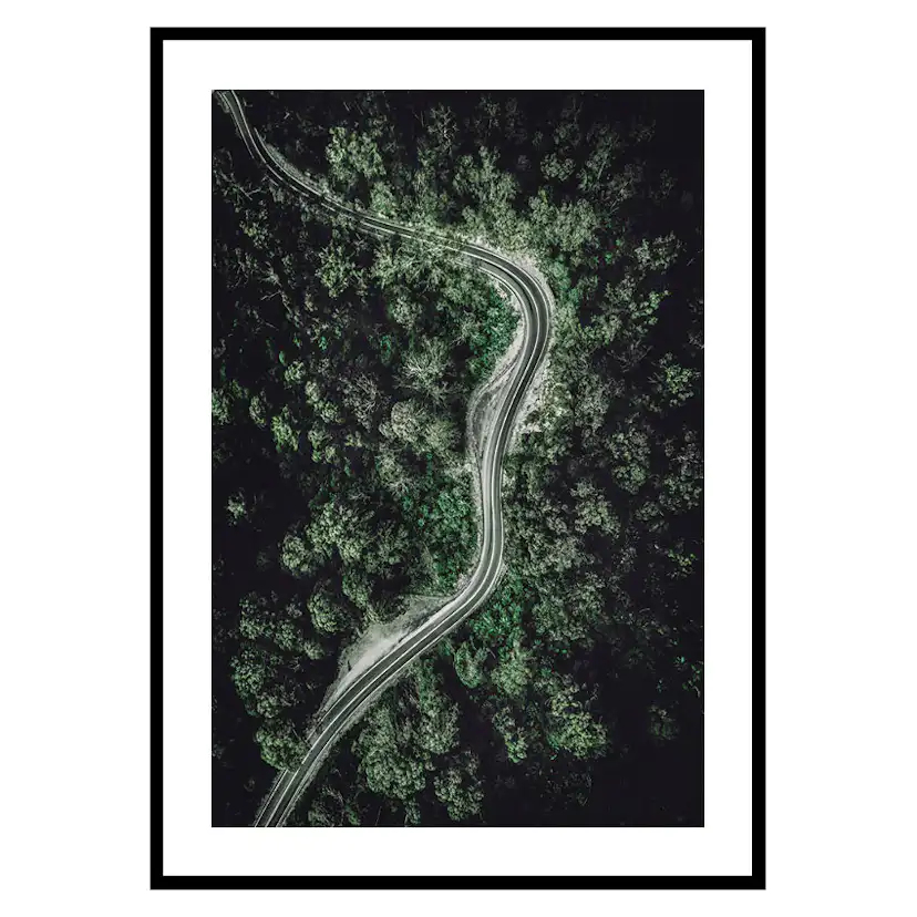 Poster Gallerix Forest Road