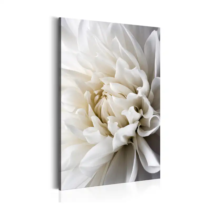 Tavla Arkiio White Dahlia