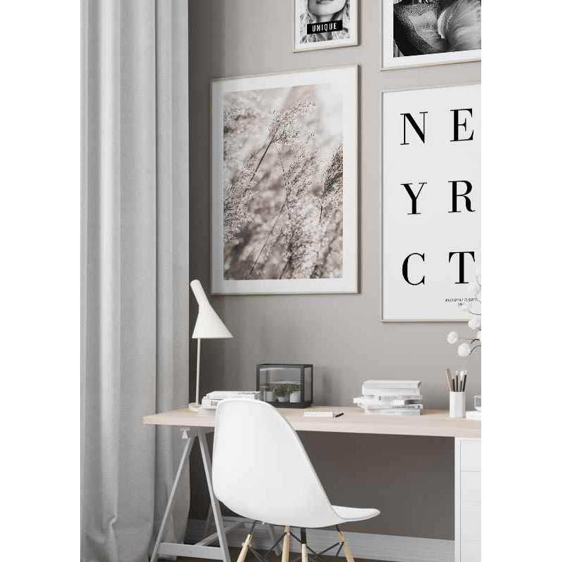 Poster Gallerix Dried Plants No3