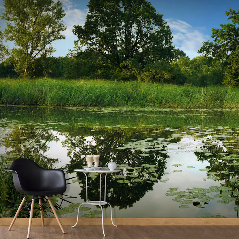 Fototapet Arkiio Självhäftande The Magic Pond II 490x280