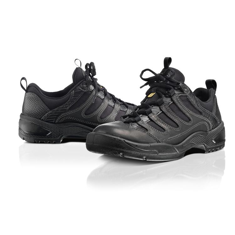 Lågsko Arbesko 1355