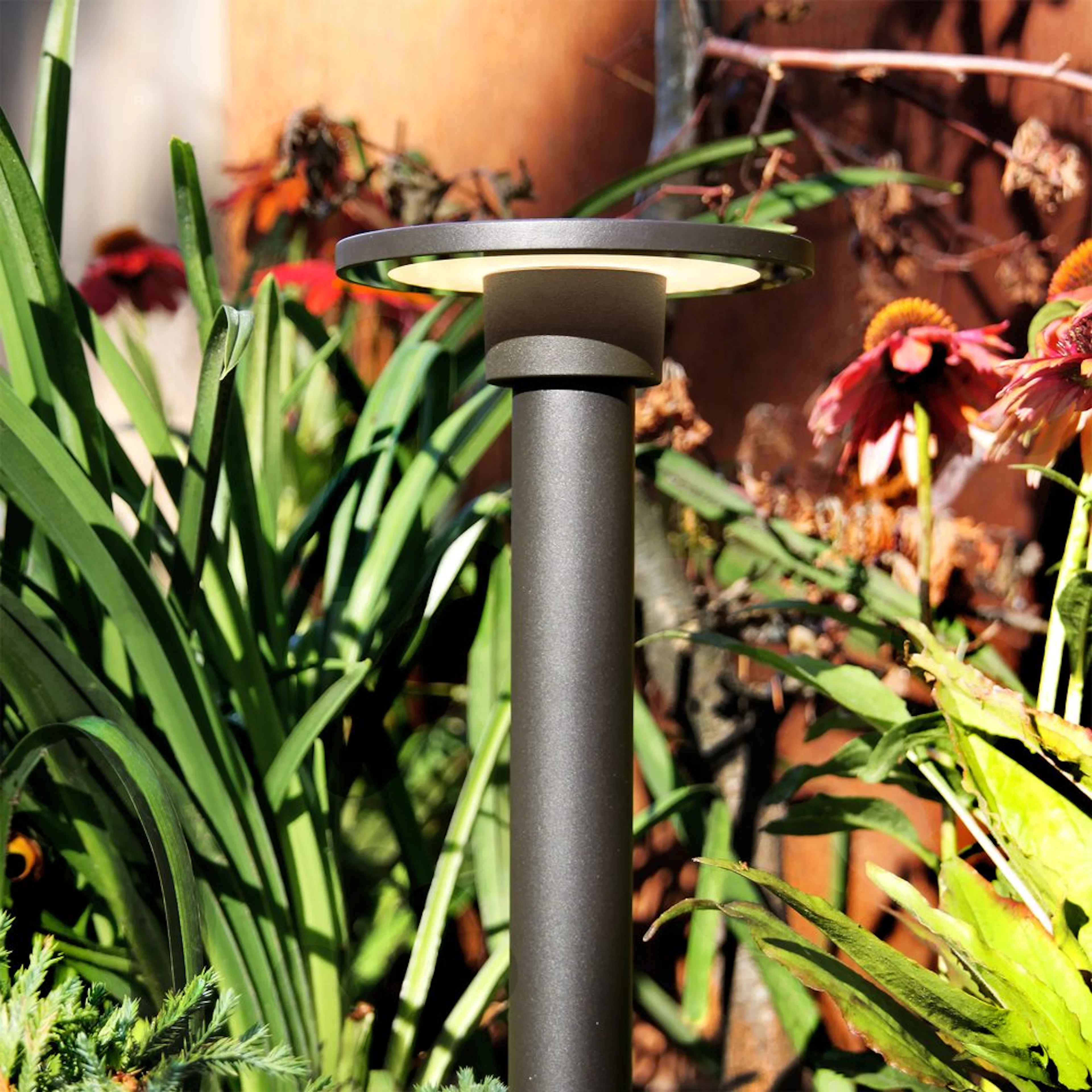 Pollare LightsOn Orbit