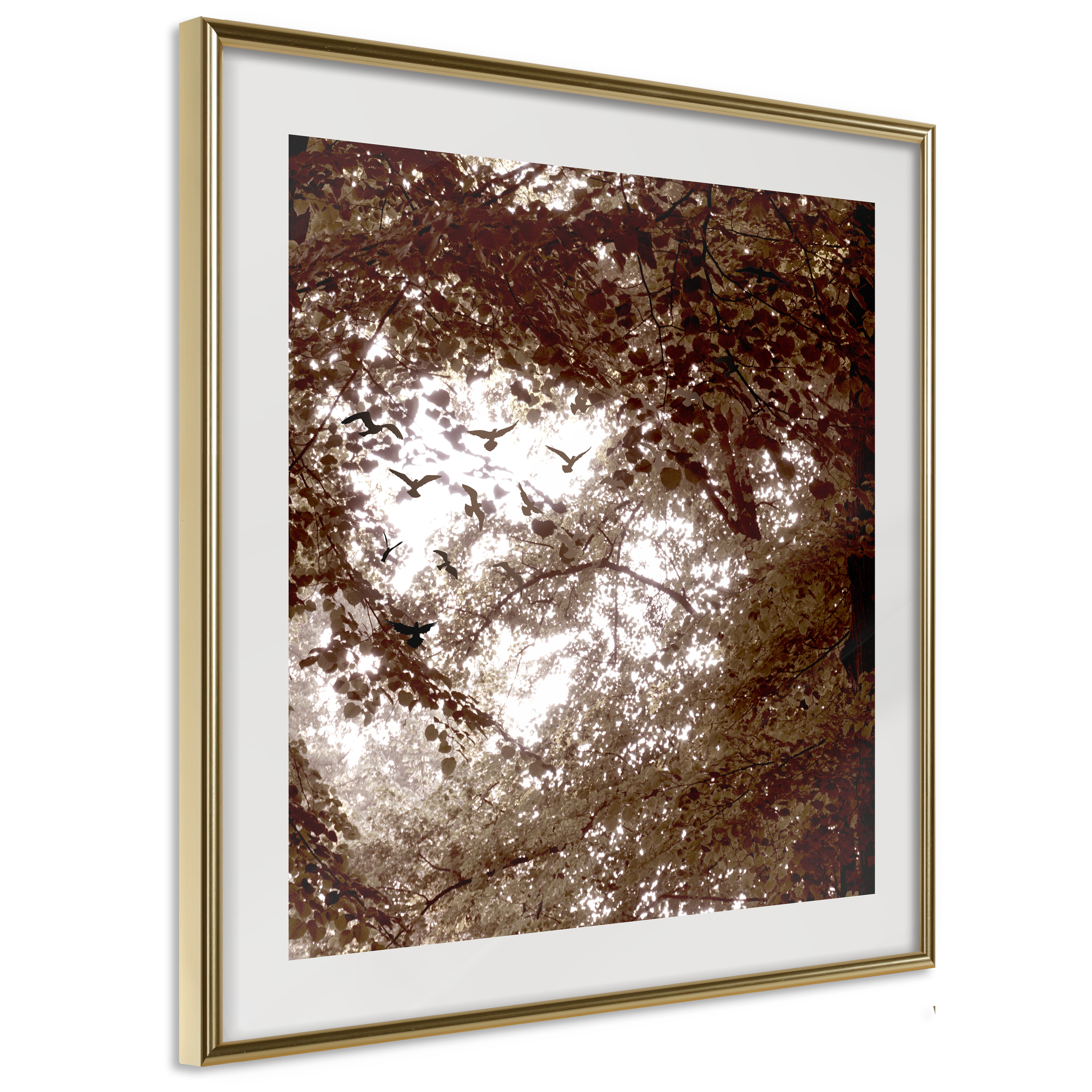 Affisch - Freedom [Poster] 30x30 Guld ram, 30x30 cm
