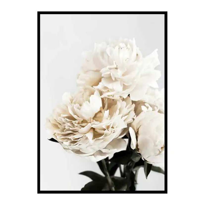 Peonies Closeup 21x30 cm