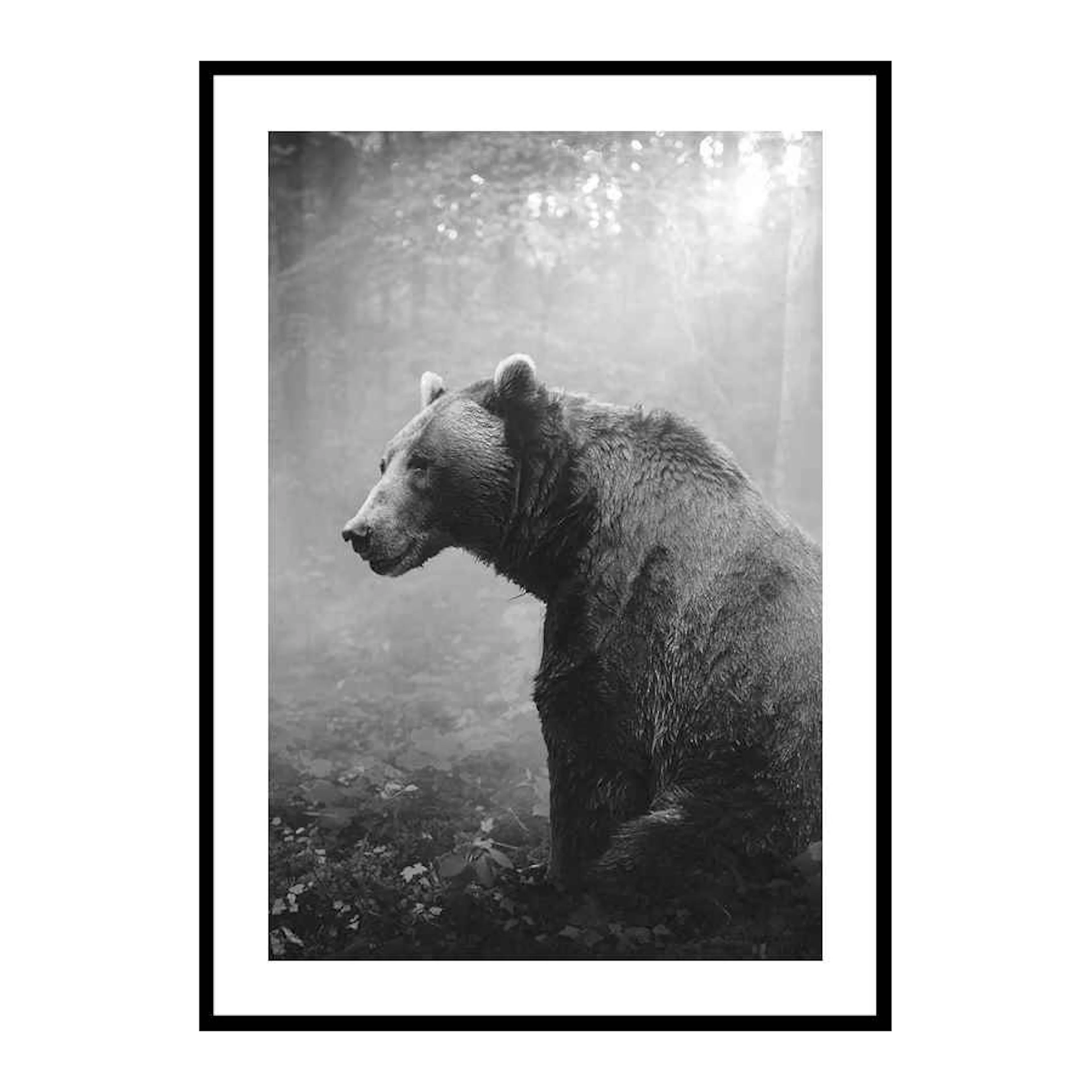 Grizzly Bear 30x40 cm
