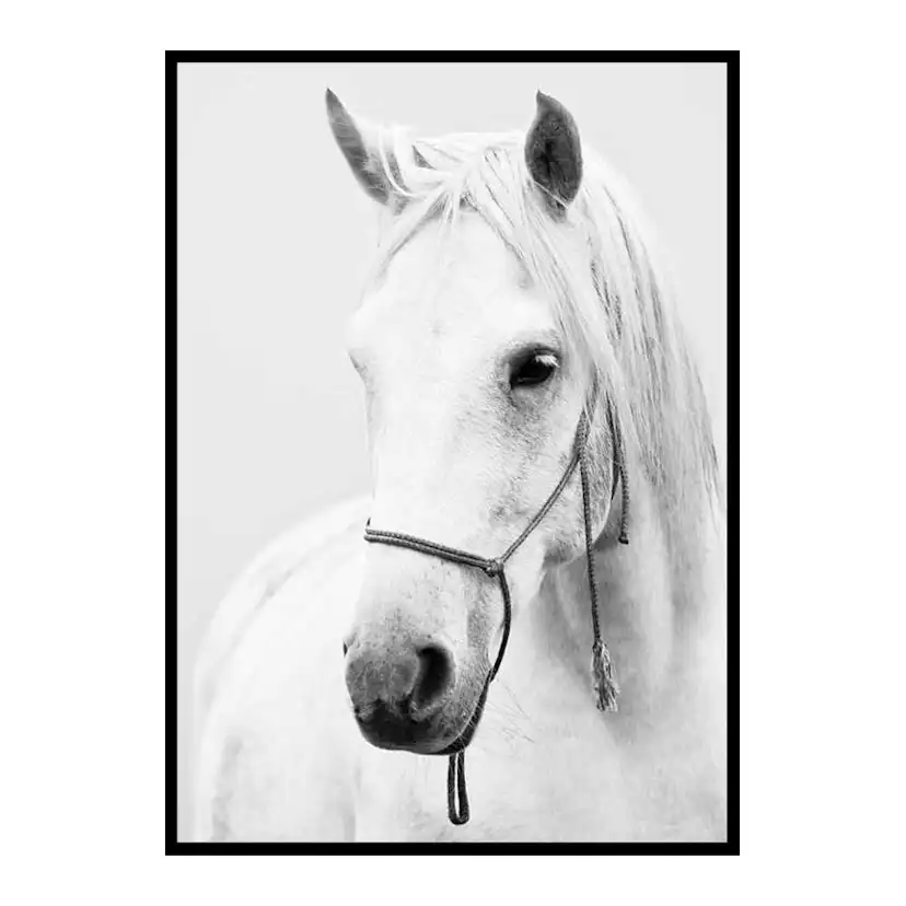 Poster Gallerix Shadowfax