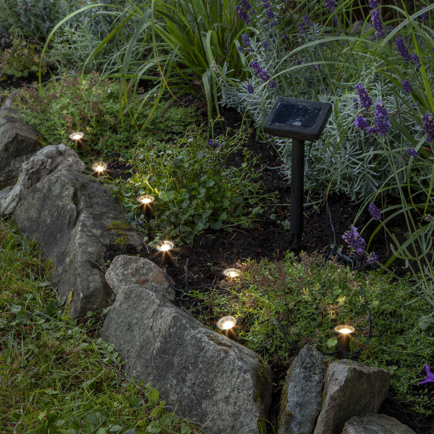 SolcellsLjusslinga Star Trading Mini Spot8 L25Lm