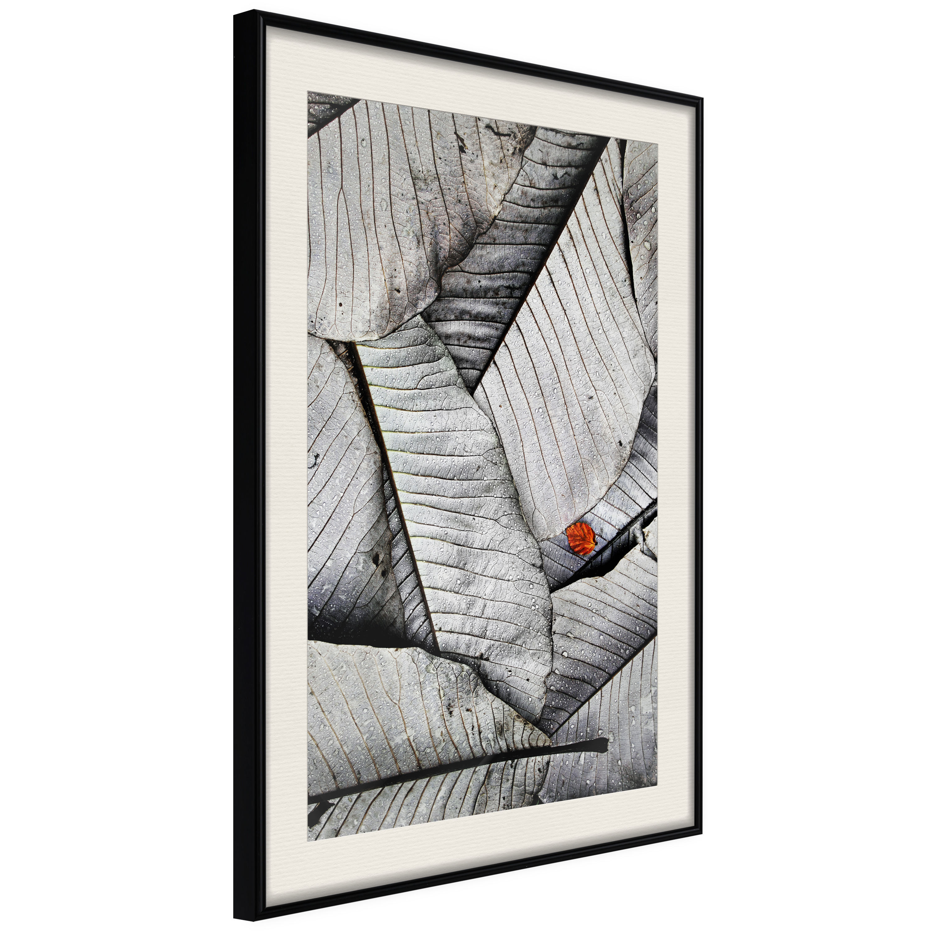 Affisch - Black And White Leaves [Poster] 30x45 Svart ram med passepartout, 30x45 cm