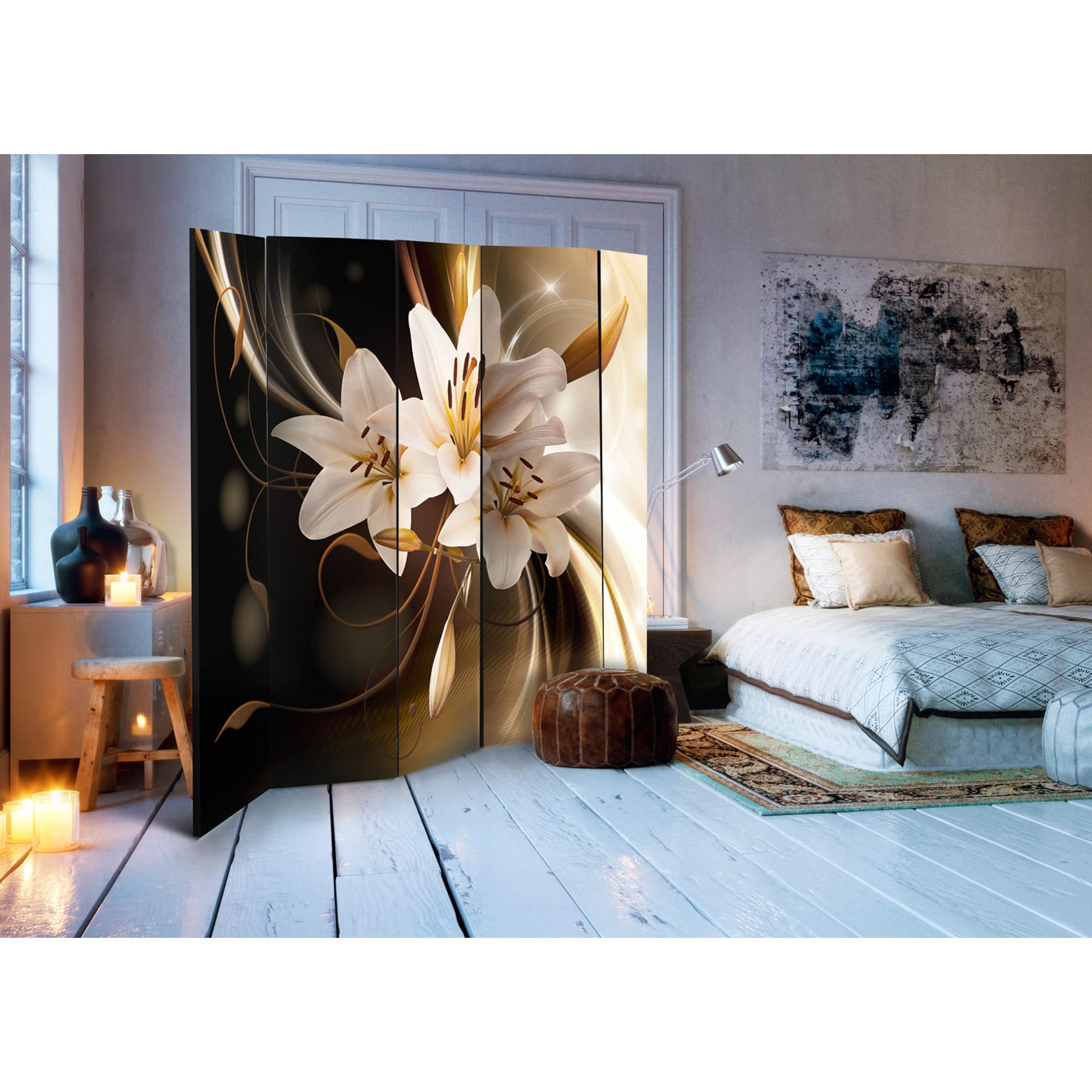 Rumsavdelare Skärmvägg Arkiio Circle of Light II 225x172 cm