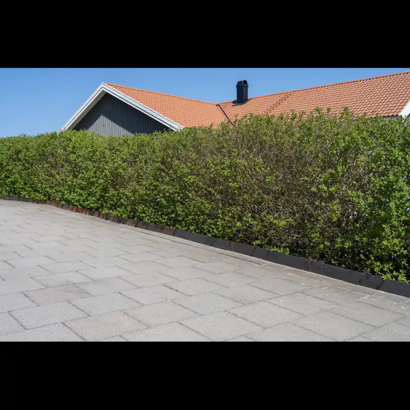 Rabattkant Skotte Garden 18x100 cm 20-Pack Corten
