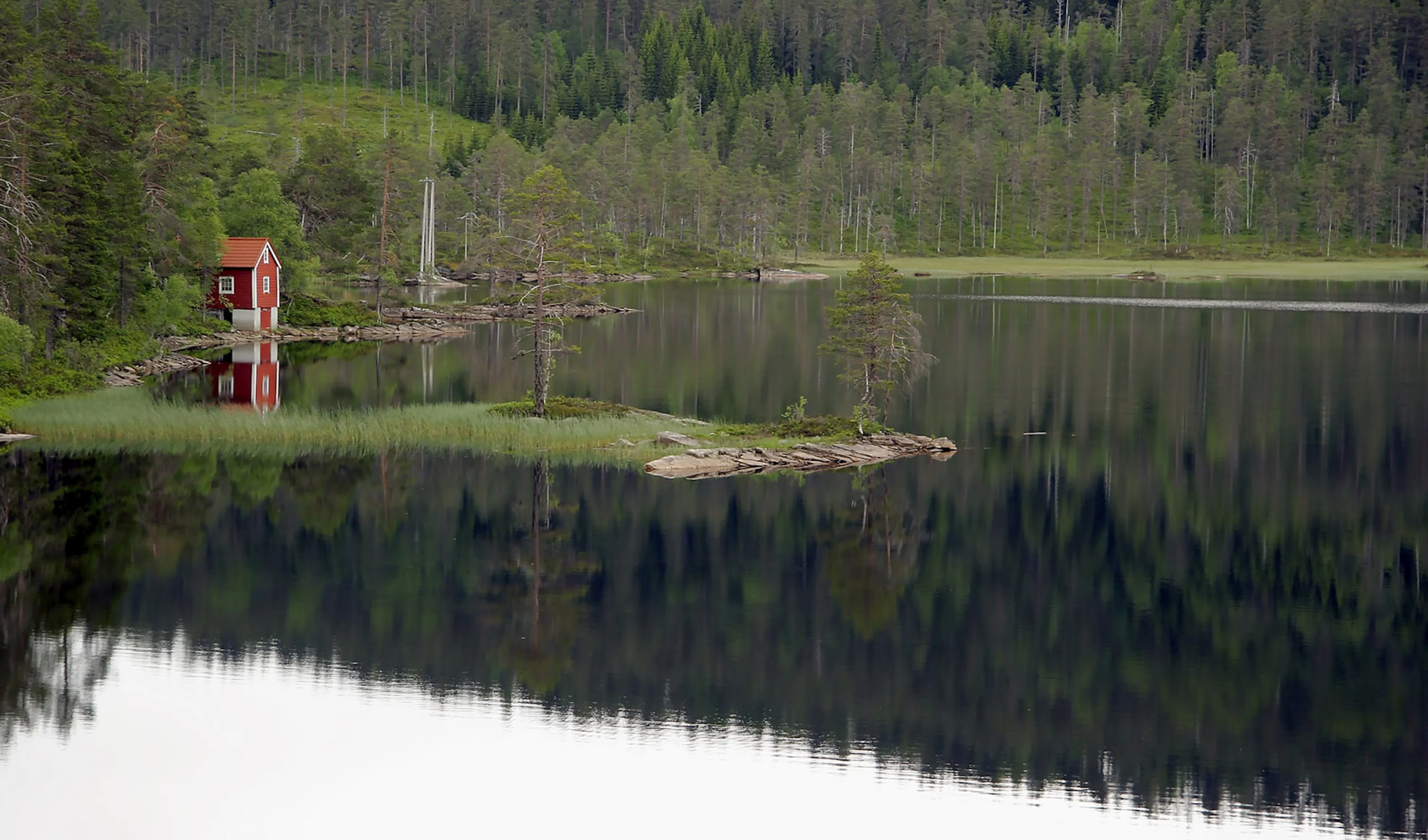 Förbränningstoalett, separett, frystoalett eller mulltoa: Välj toalett utan avlopp till ditt fritidshus
