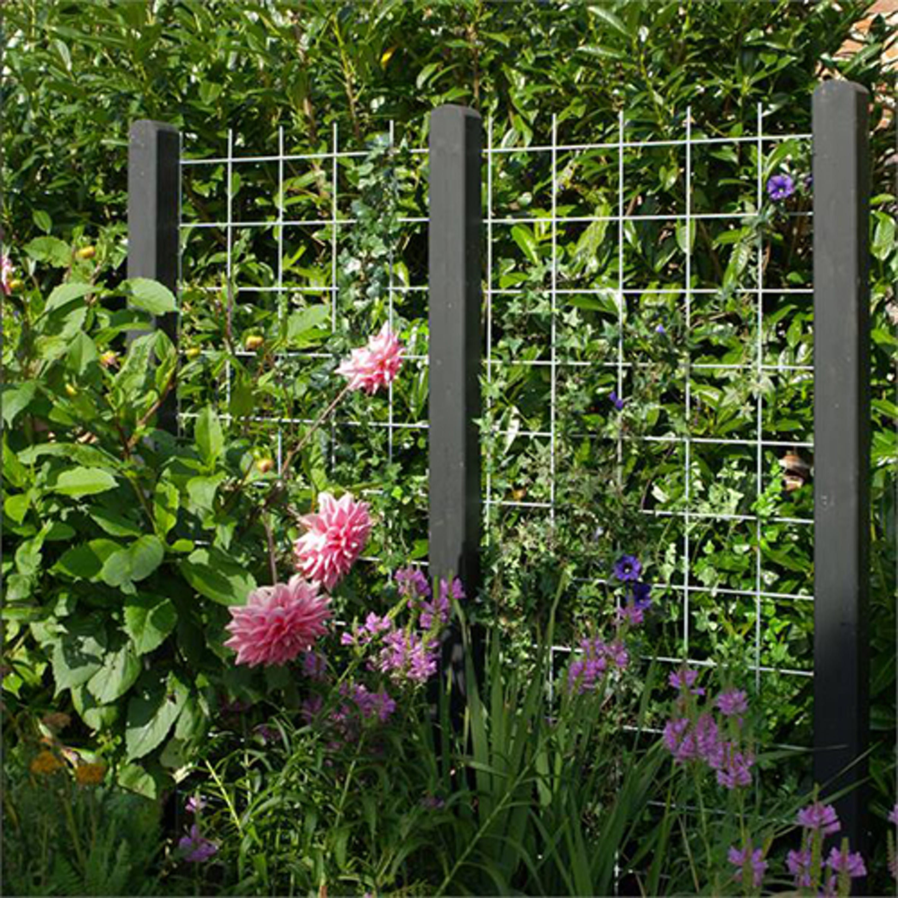 Spaljé PLUS Stål 90x180 cm Varmgalvaniserad