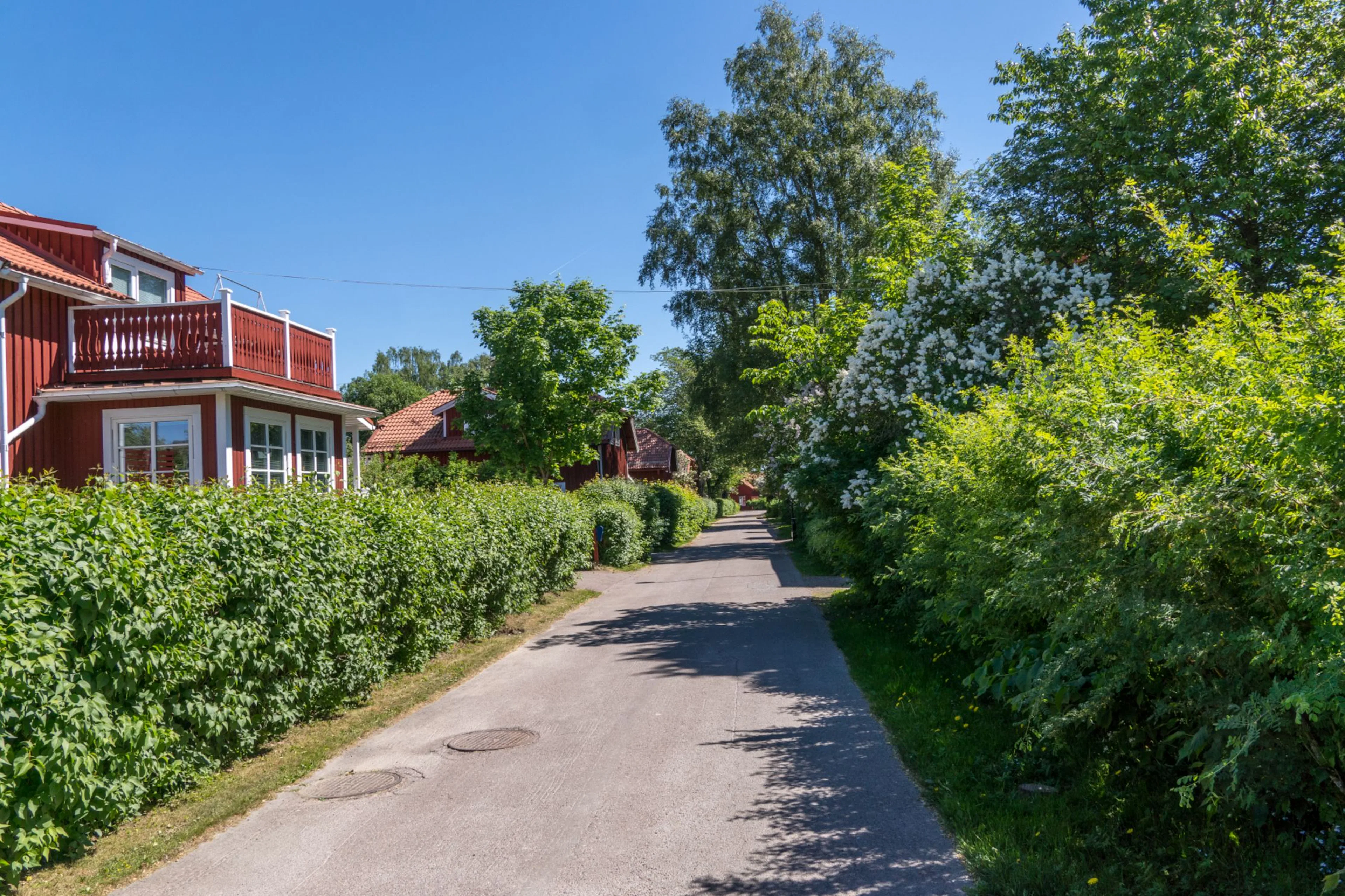 Få en lättskött häck genom att välja rätt häck för din trädgård