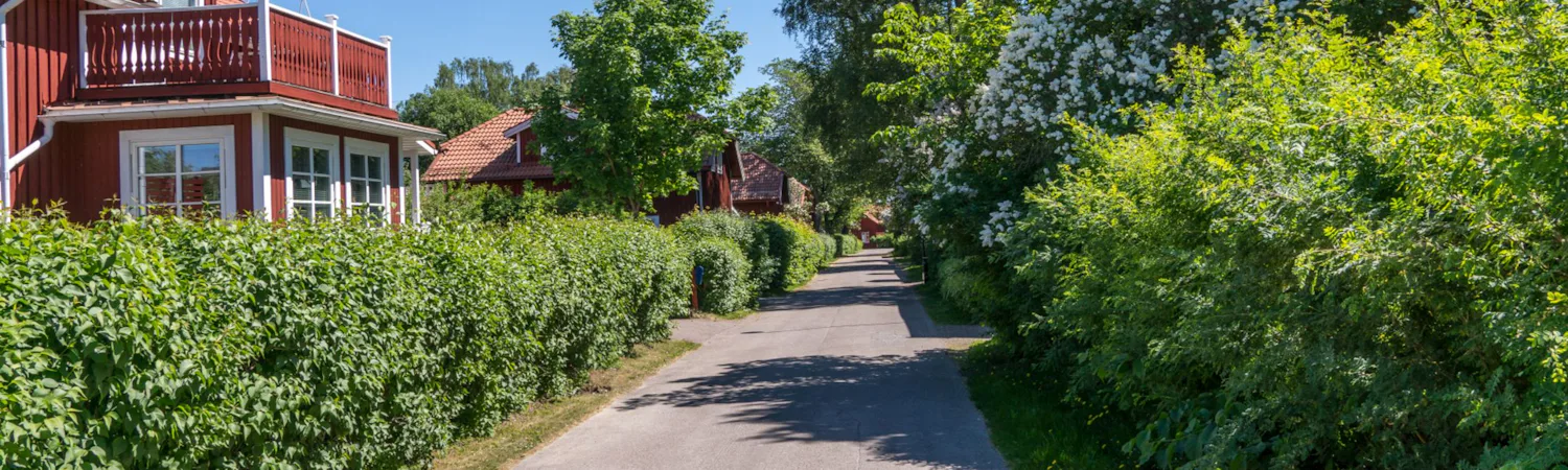Trädgård & Utemiljö