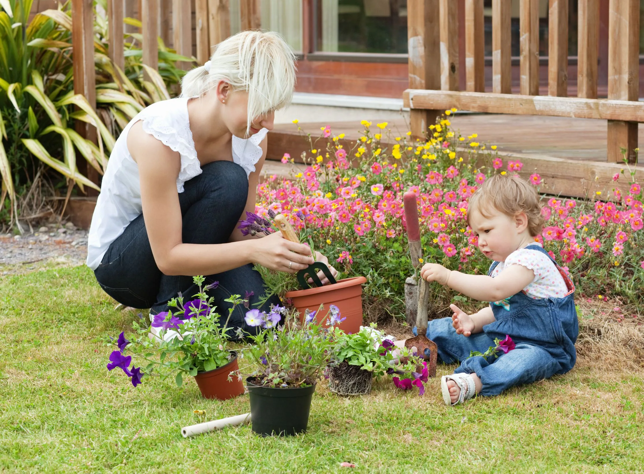 Perennrabatt inspiration - 5 tips när du planerar blomsterrabatten