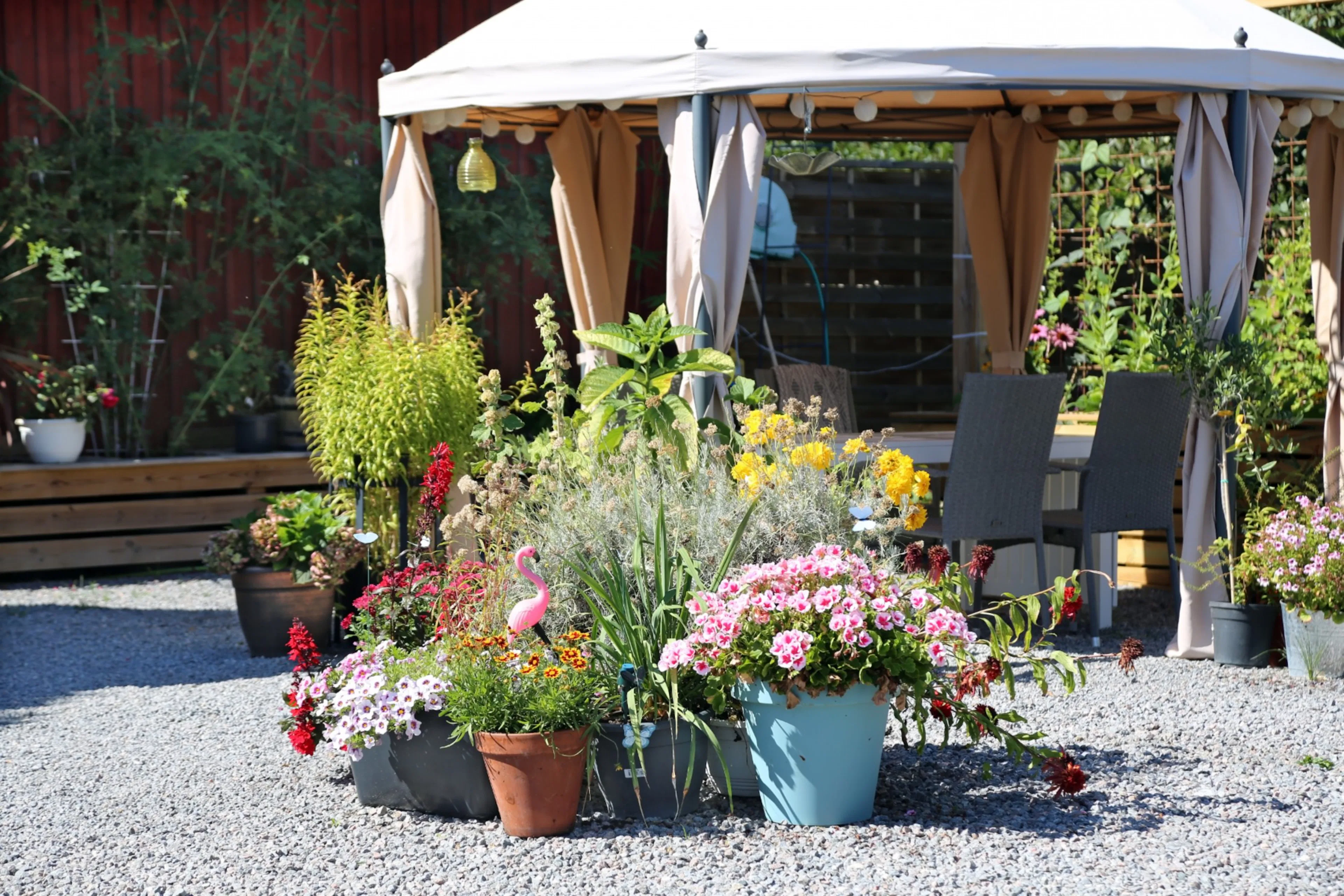Pergola och paviljong – våra mest populära pergola med tak