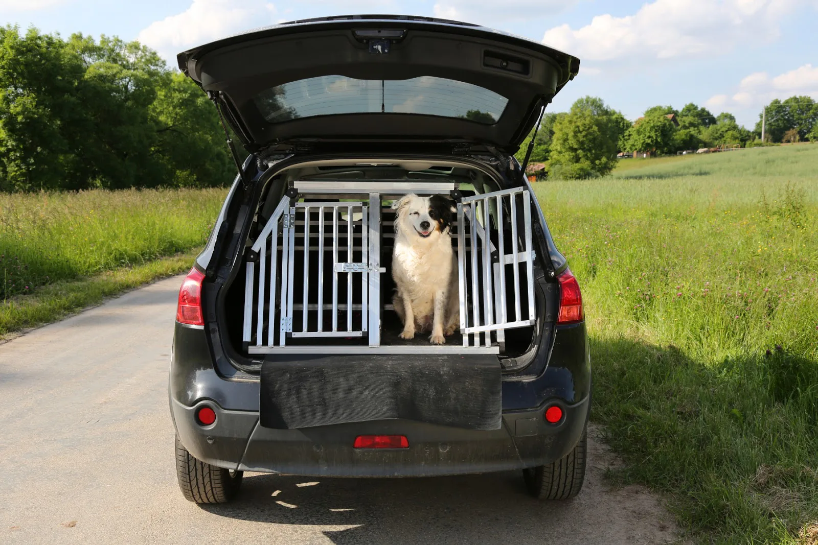 Hundbur bäst i test 2026: Vi jämför populära transportburar till hund