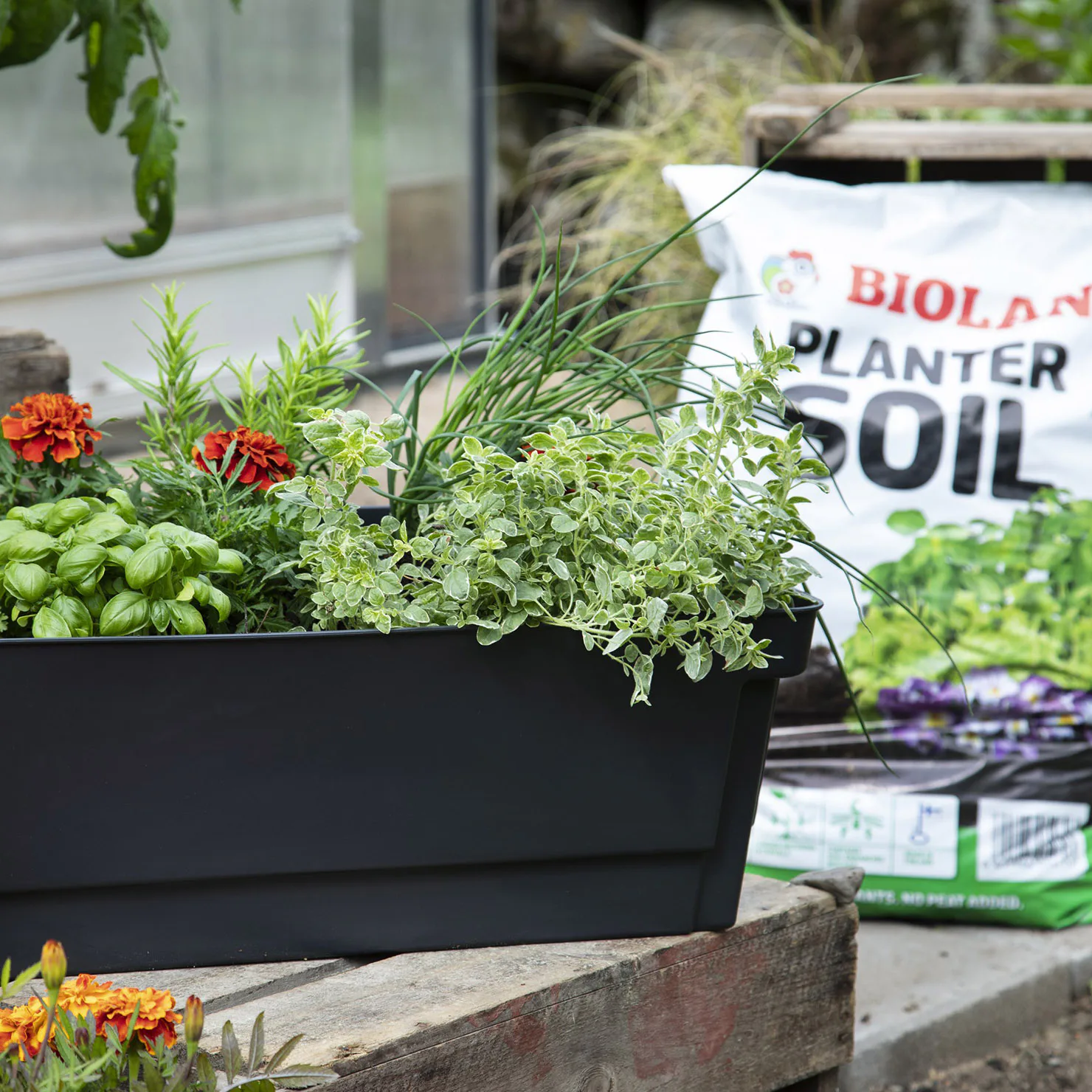 biolan-planter-soil.jpg