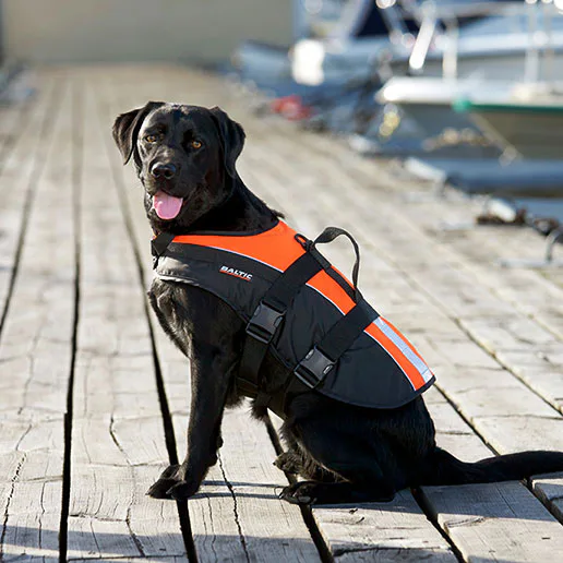 Flytväst till hund & katt