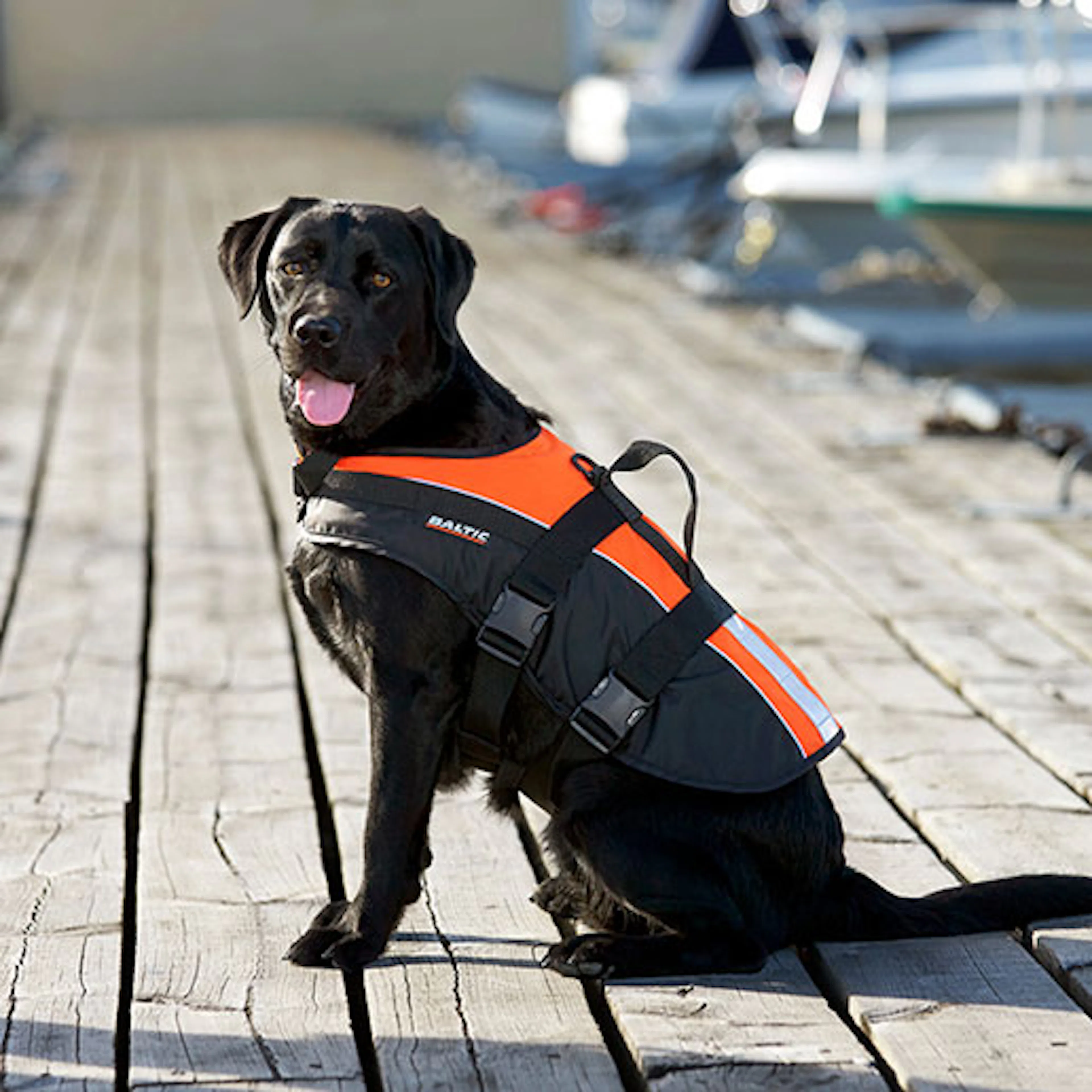 Flytväst till hund & katt