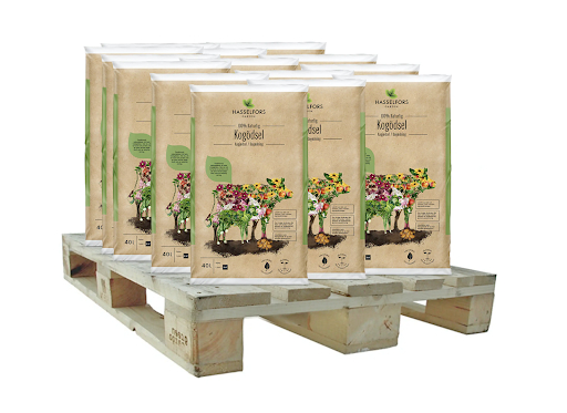 Odla jordgubbar kogödsel