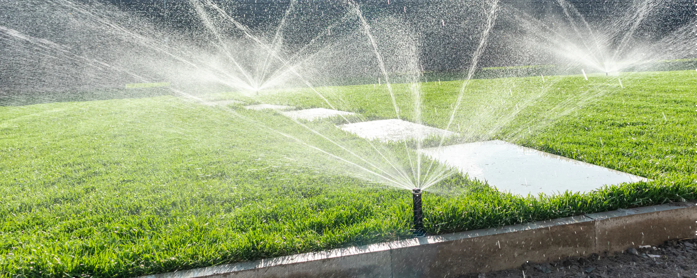 Vattensprinkler gräsmatta bäst i test 2026: Vi jämför populära modeller