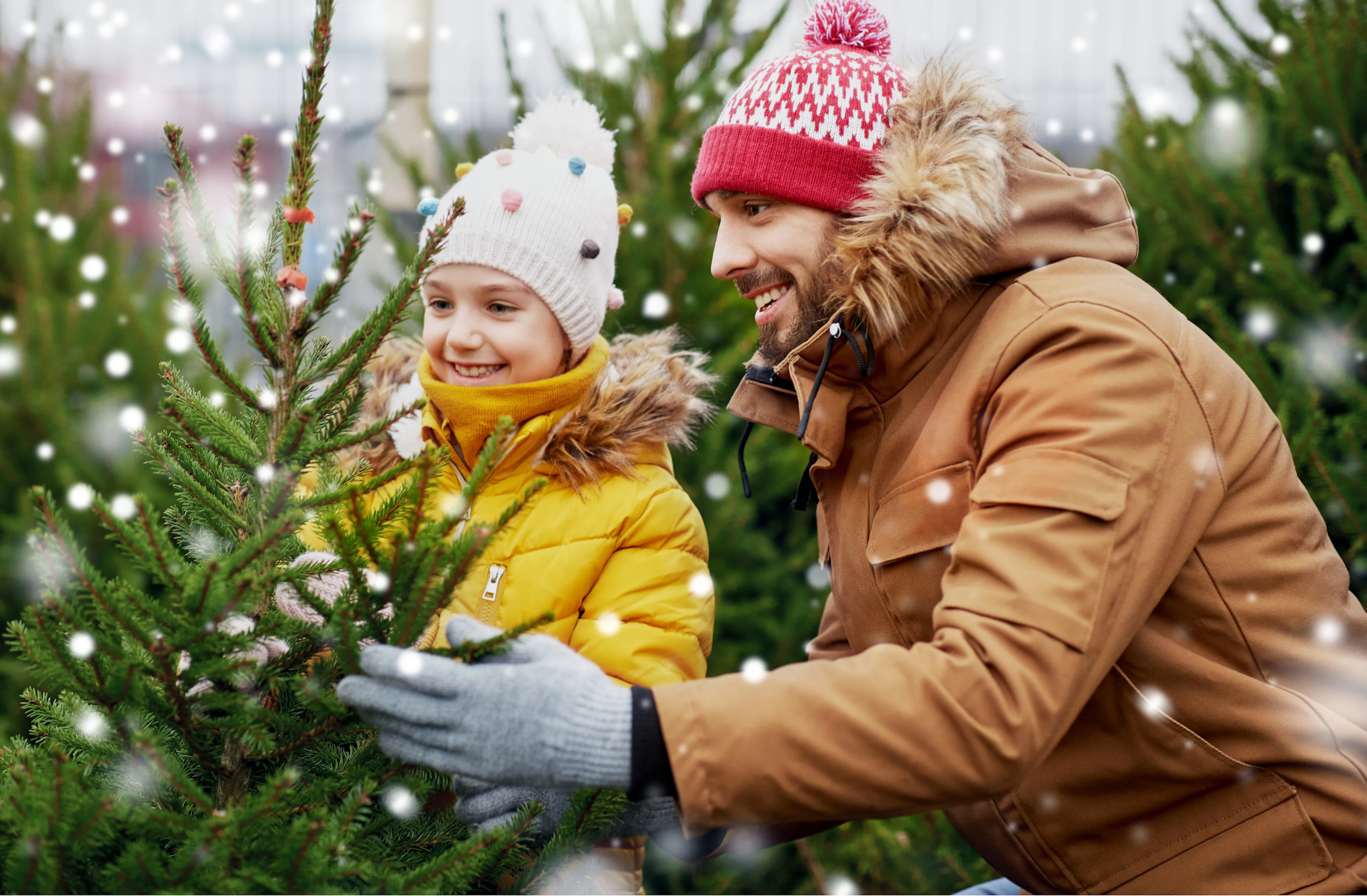 Julgransfot bäst i test 2025: Vi jämför julgransfötter i olika stilar
