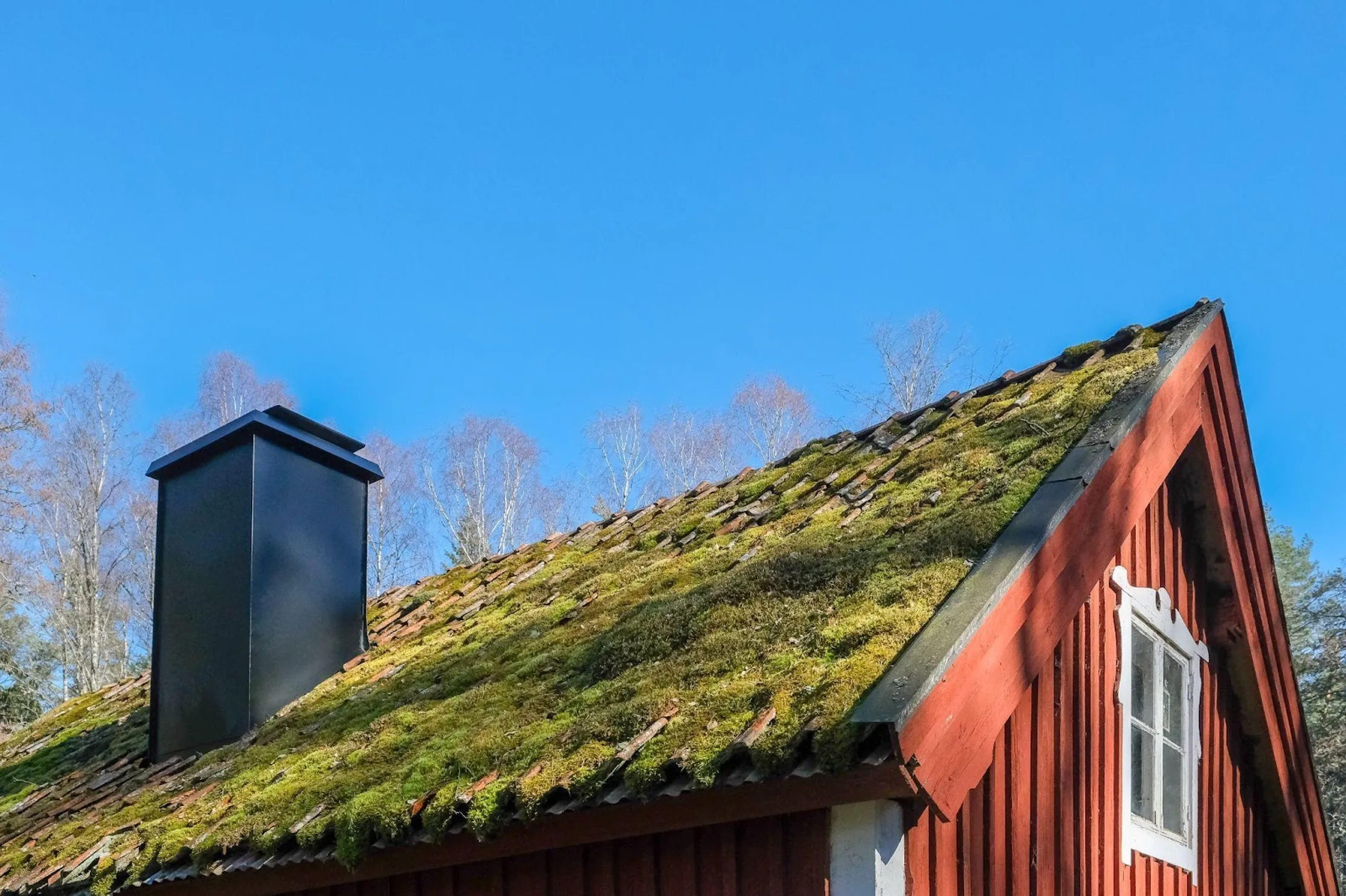 Ta bort mossa på tak – 3 smidiga alternativ