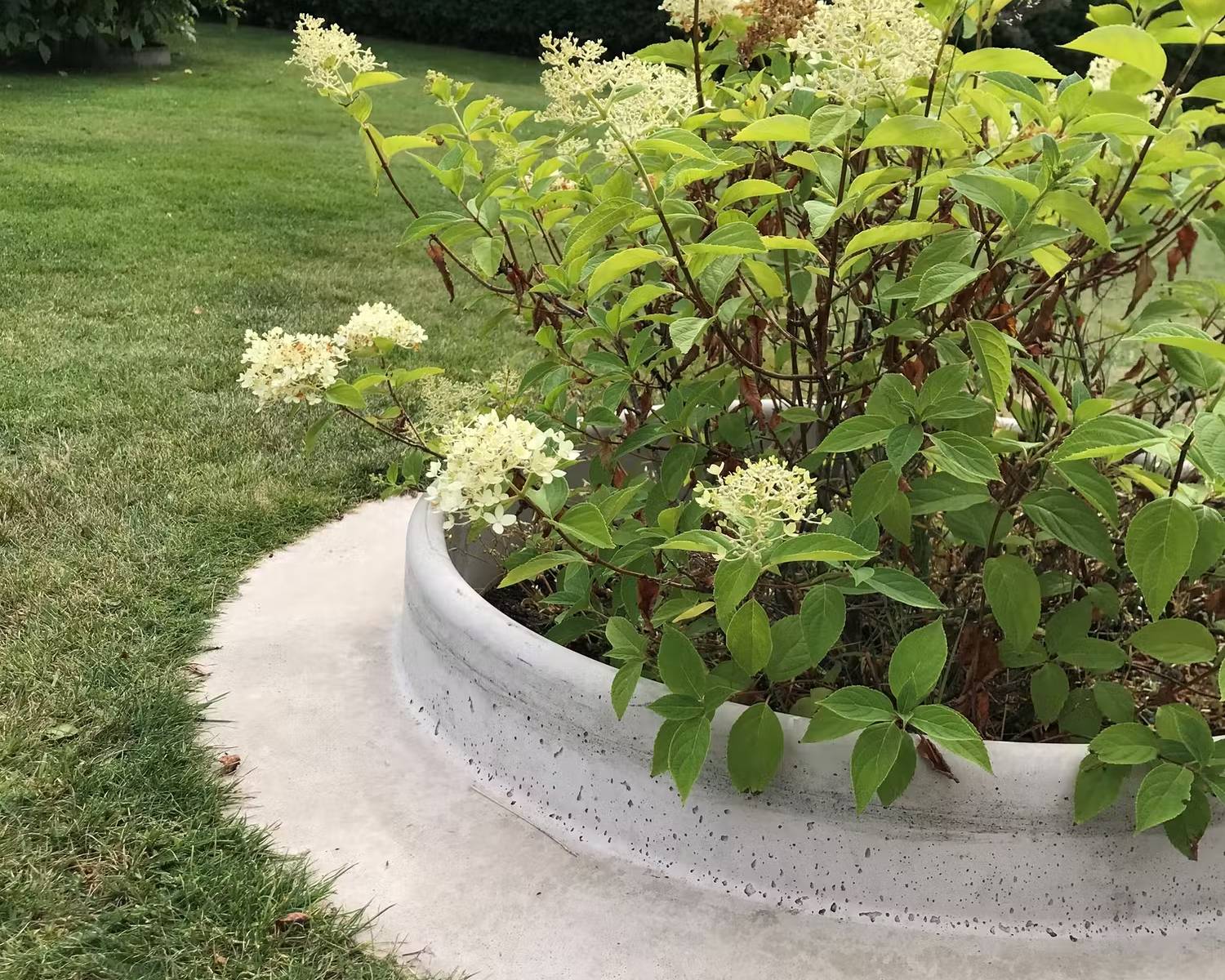 Runda rabatter - Planteringsring Design Björn Lidbrandt Domsand Betong