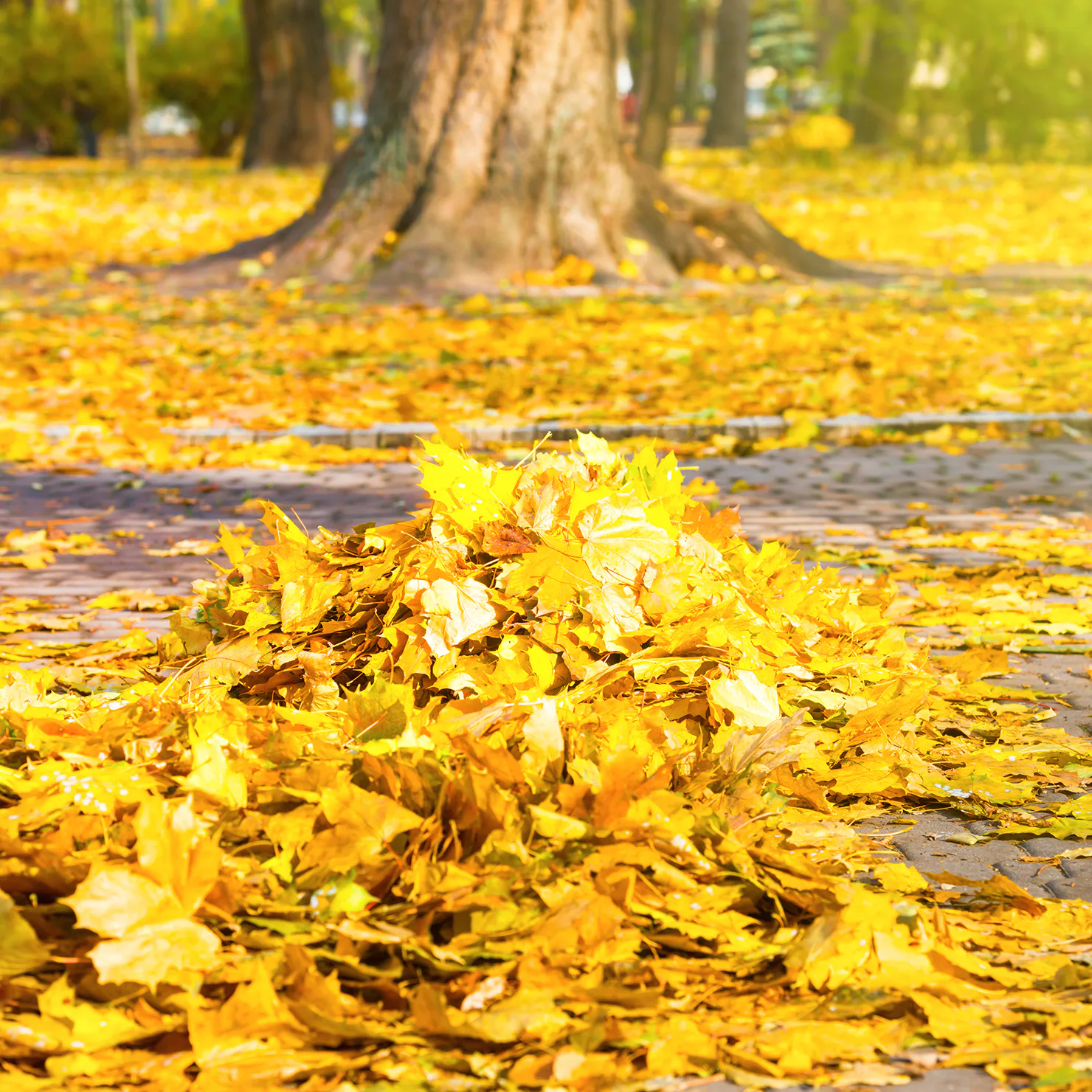 bildgalleri_green-it_03.jpg