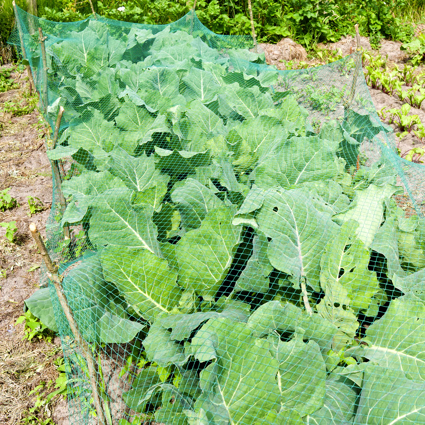 bildgalleri_green-it_06.jpg