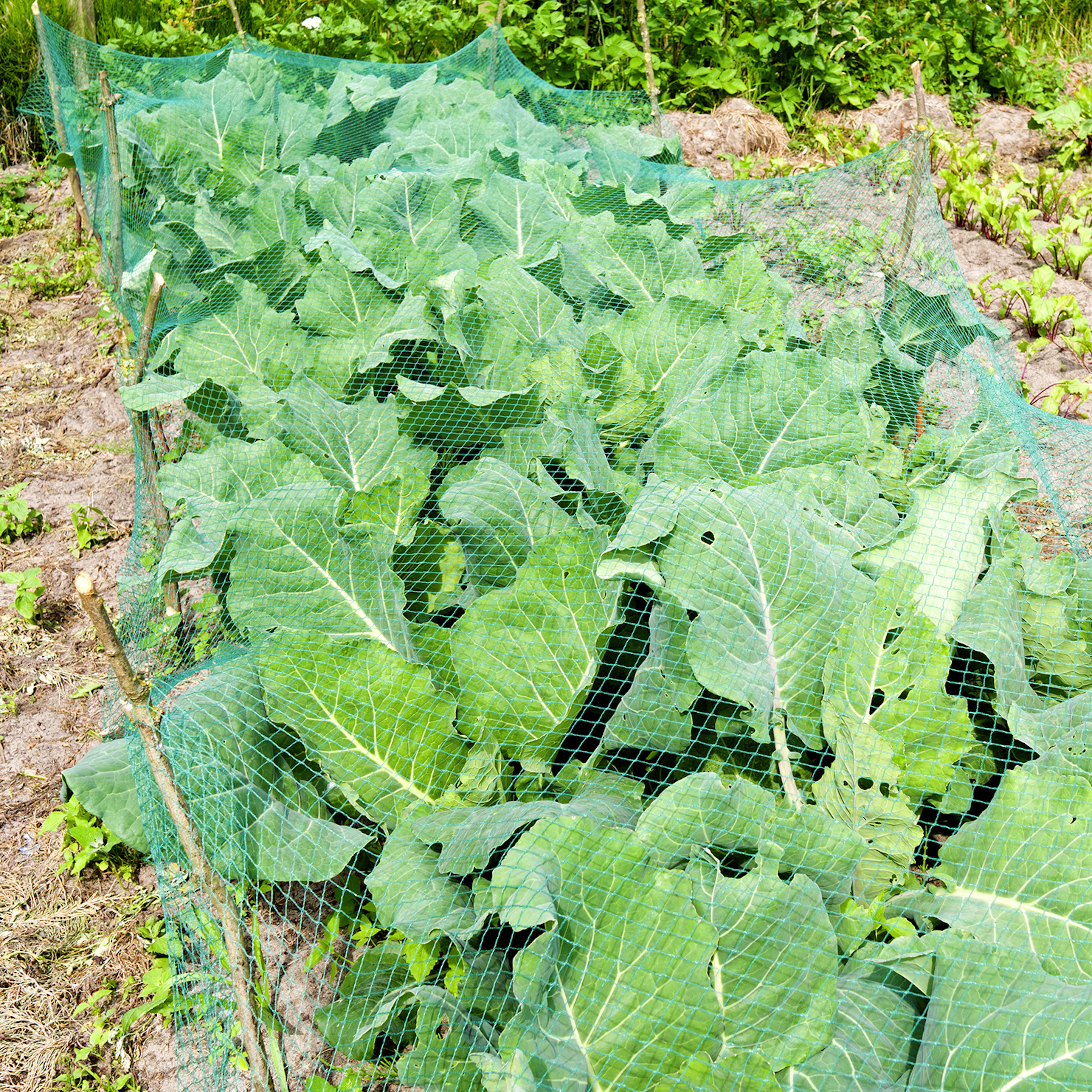 bildgalleri_green-it_06.jpg