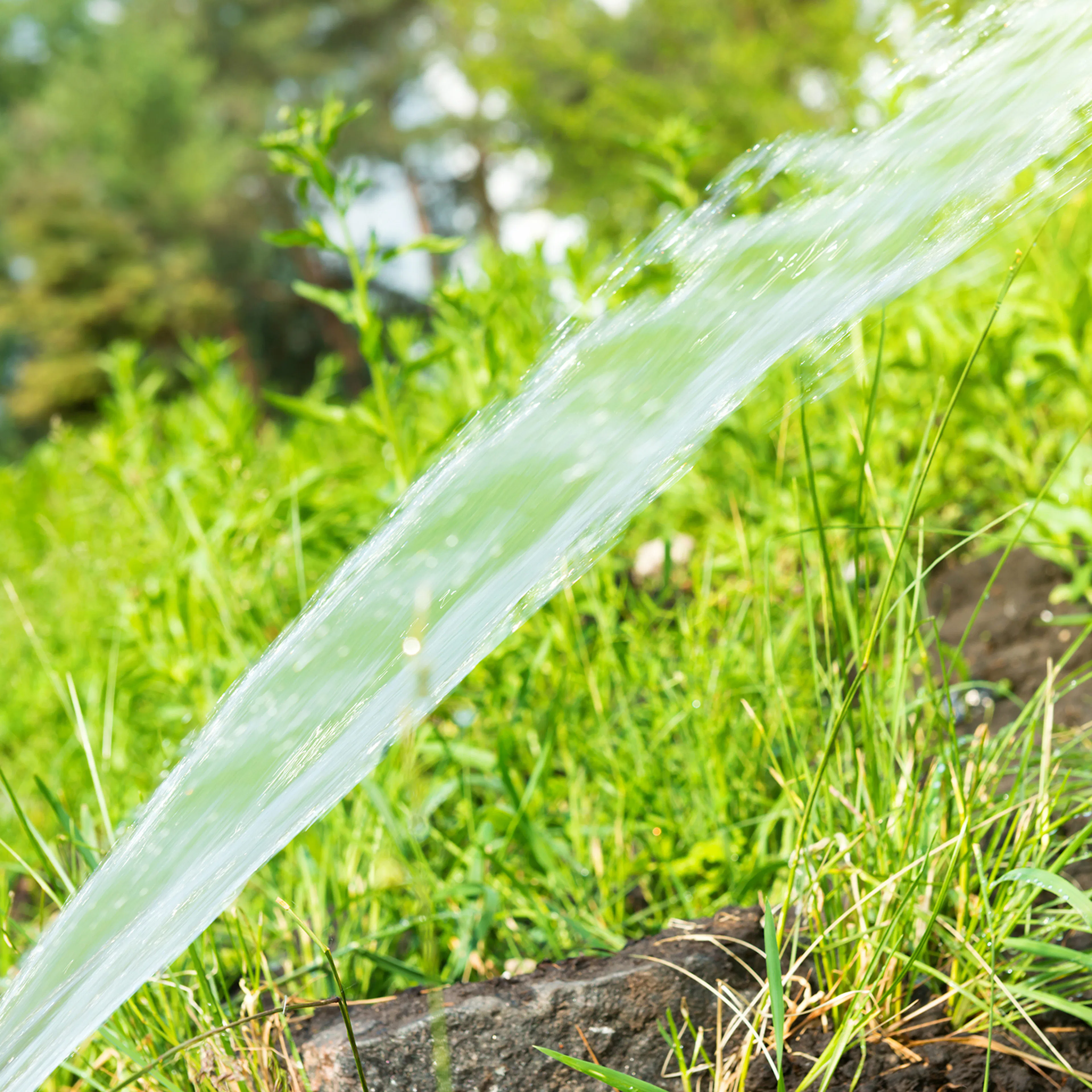 bildgalleri_green-it_09.jpg