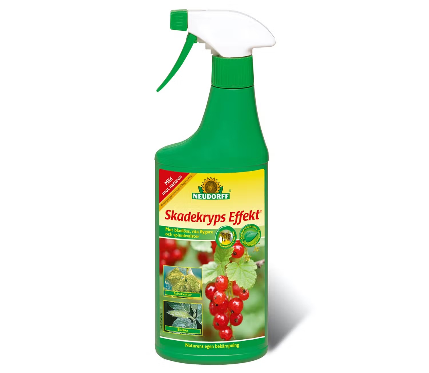 Beskära kaprifol - Insektsspray