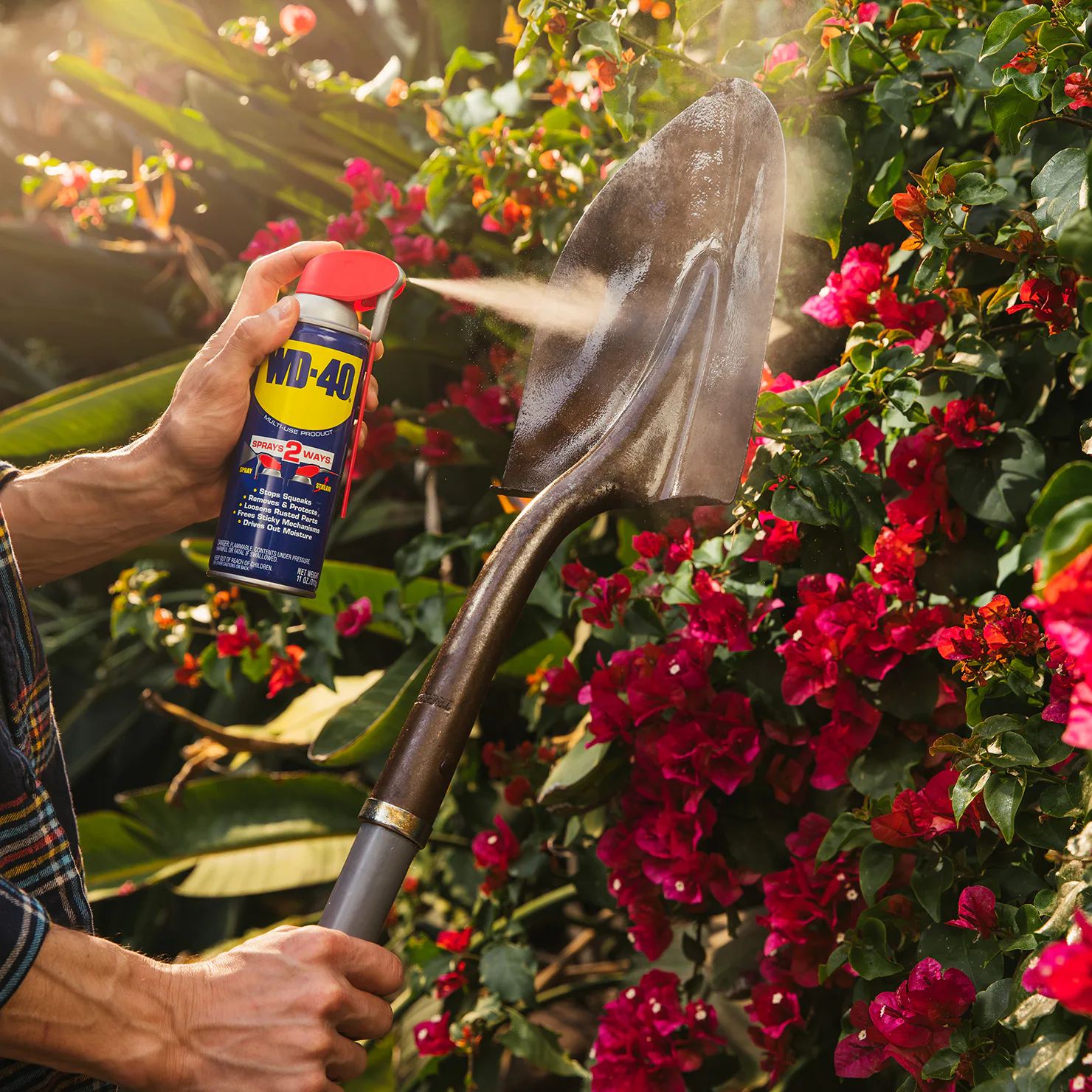wd-40_3.jpg