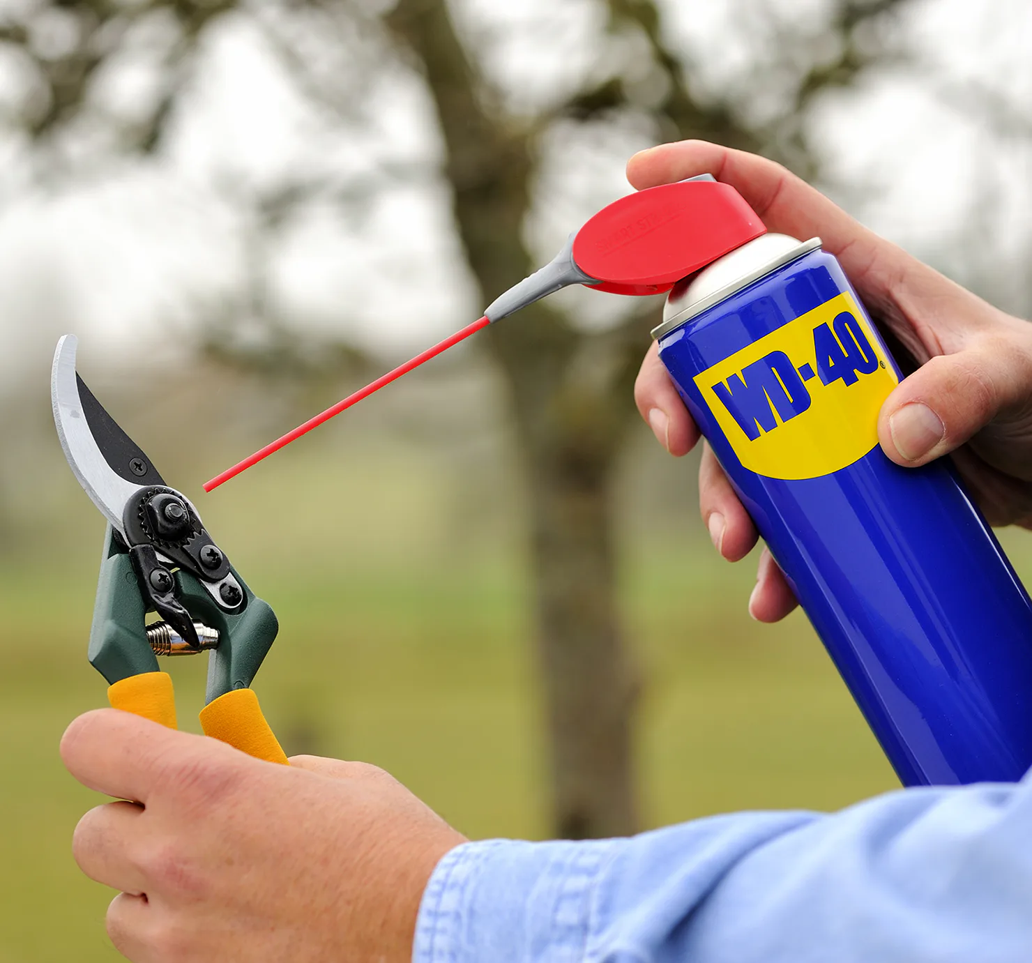 wd-40_9.jpg