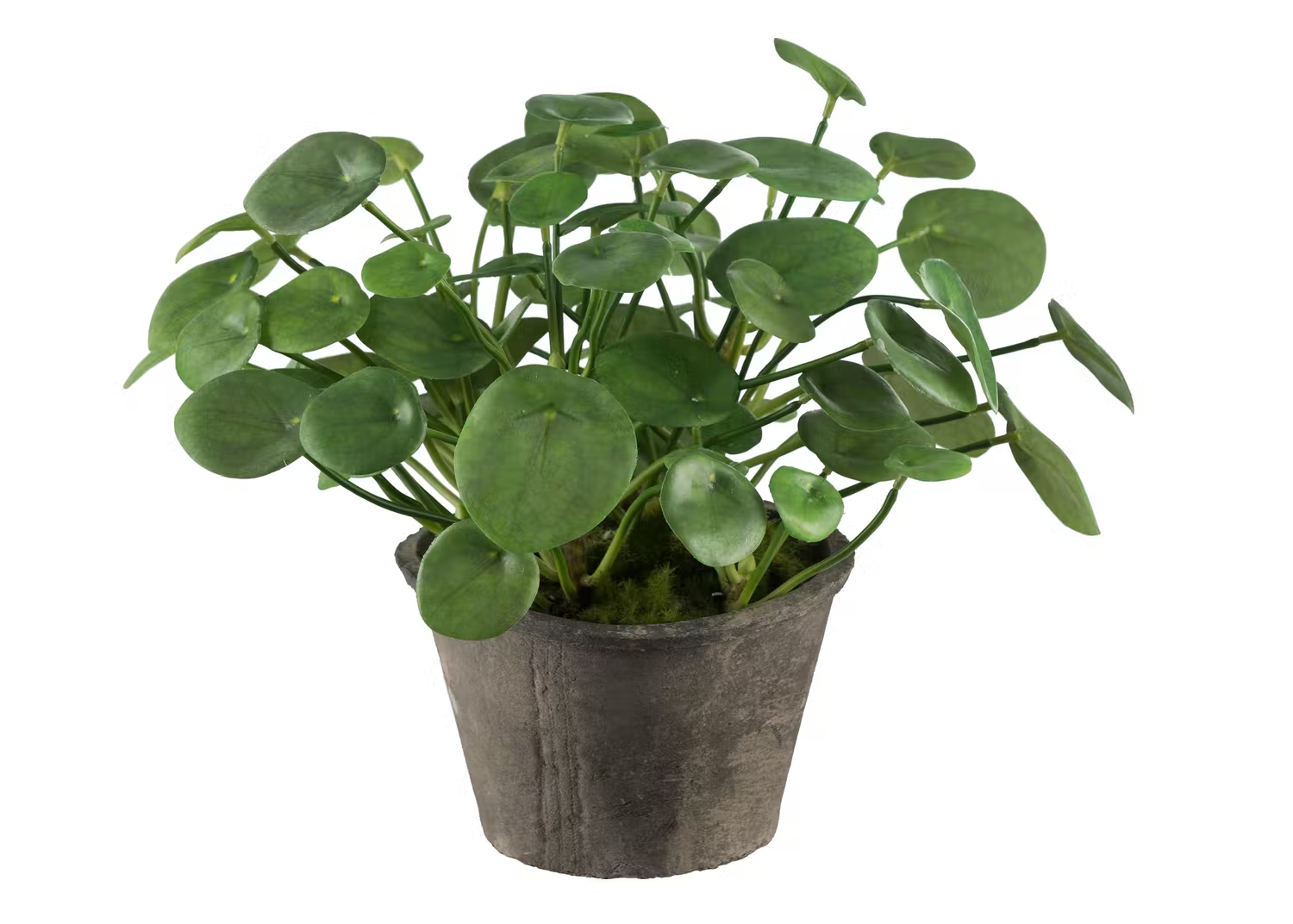 Konstgjord växt som ser äkta ut