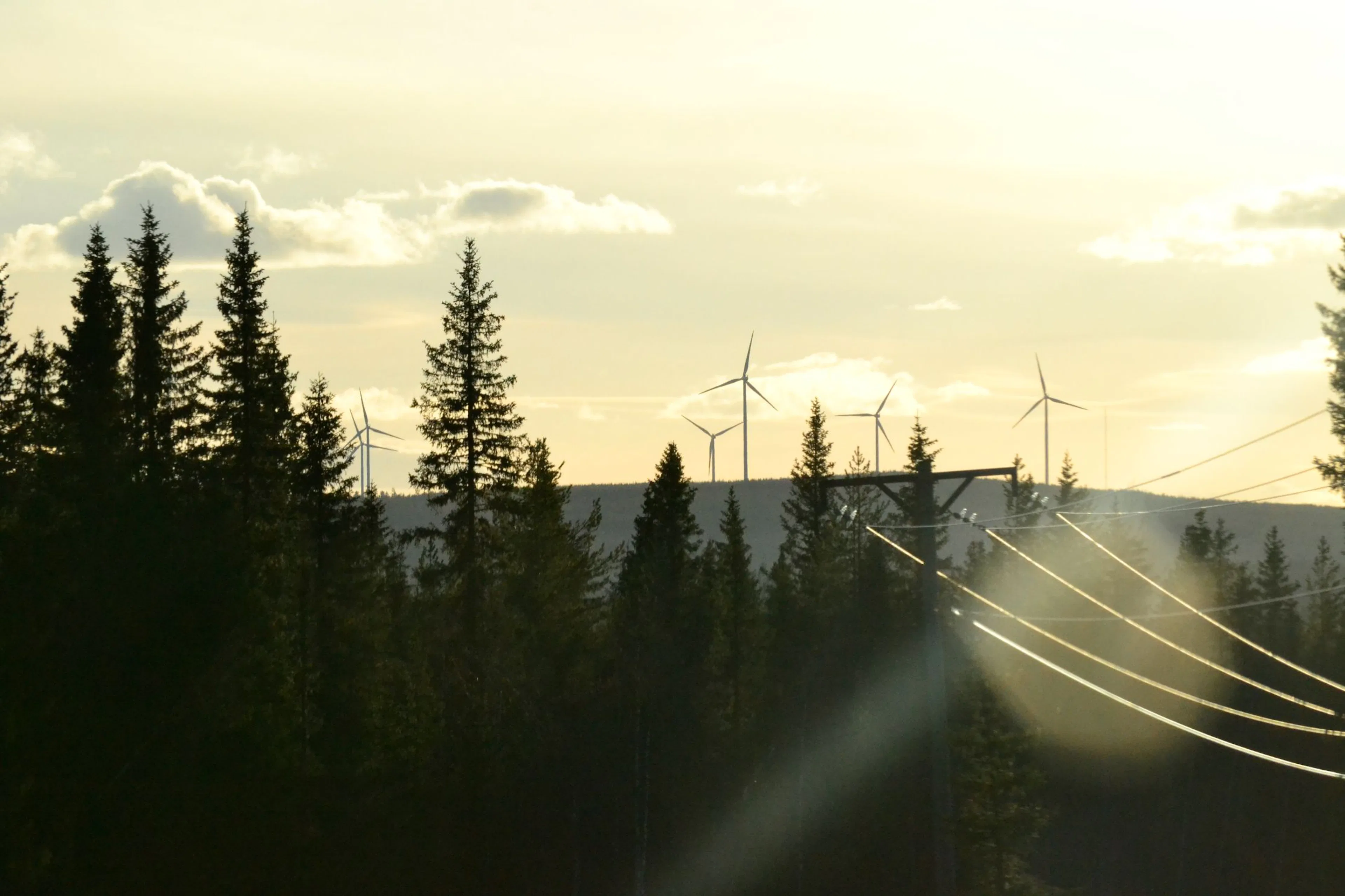 Sänk dina elkostnader med hjälp av energieffektivisering