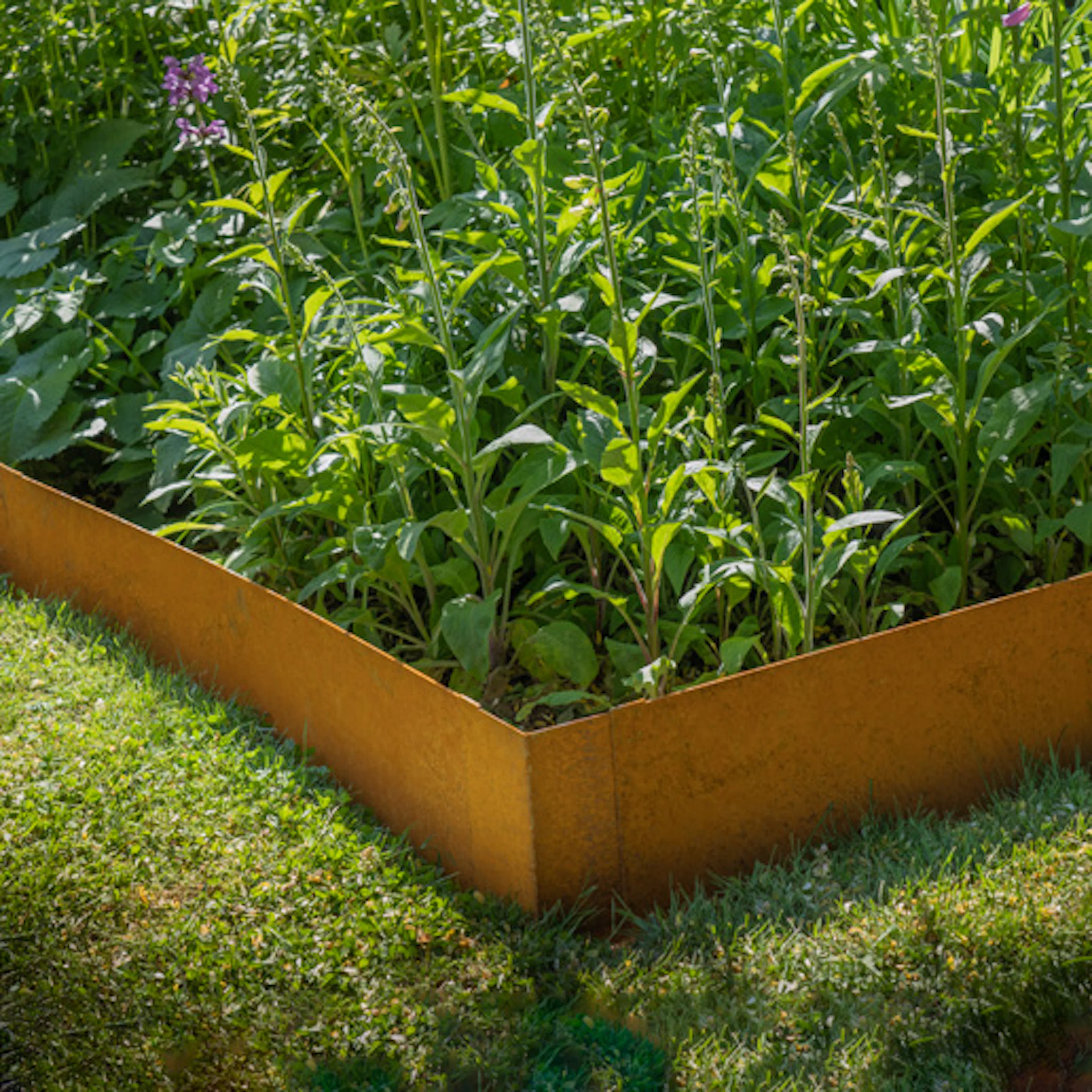 Växtstöd & Plantering