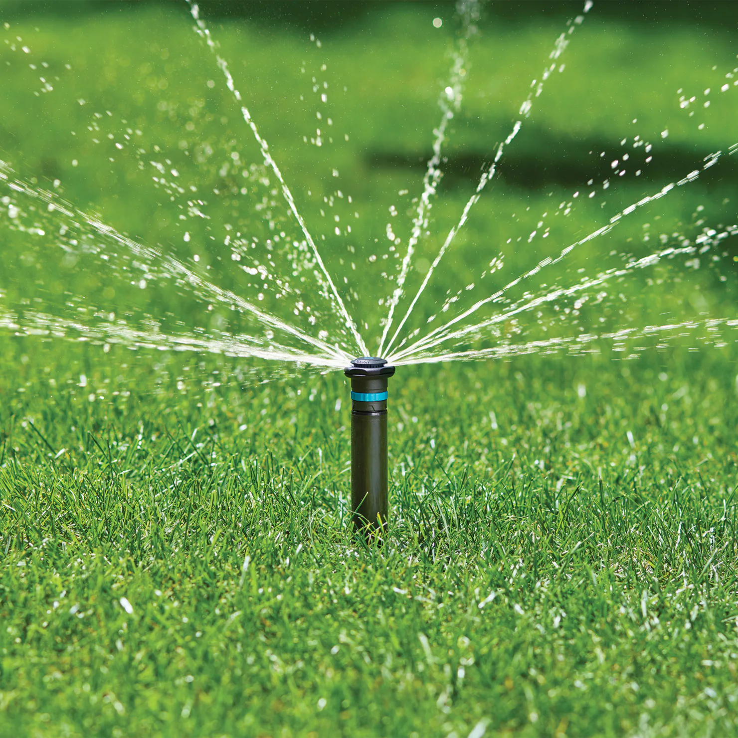 galleribild_sprinkler.jpg