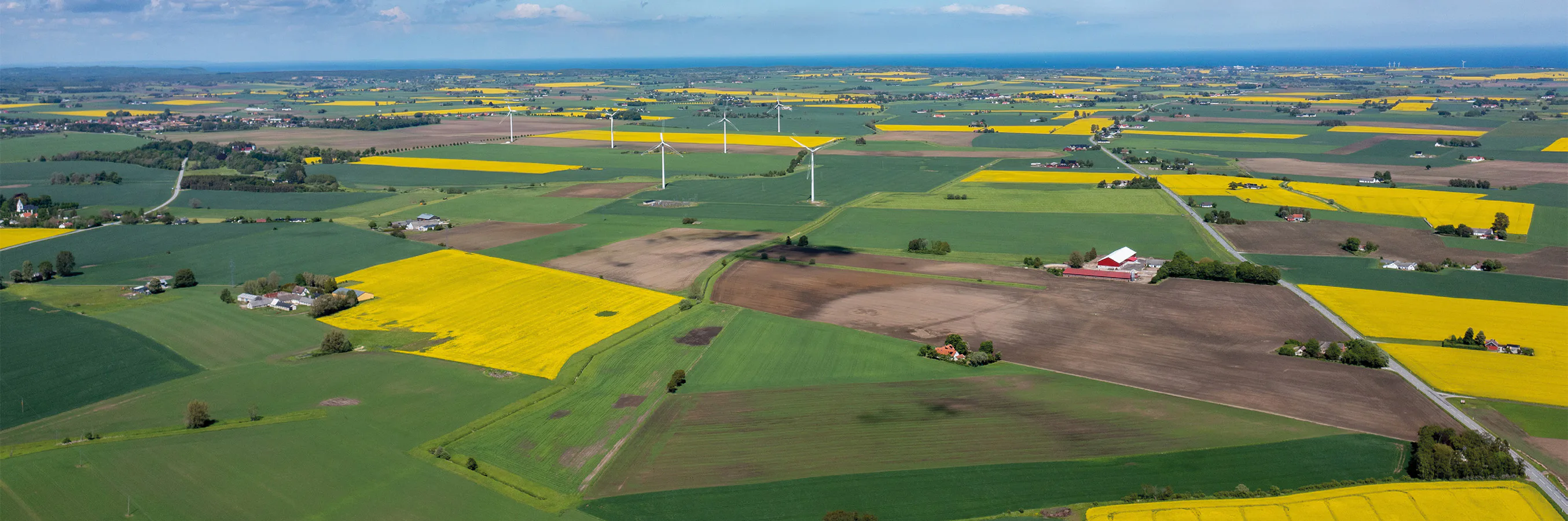 Main image for Skånefrö
