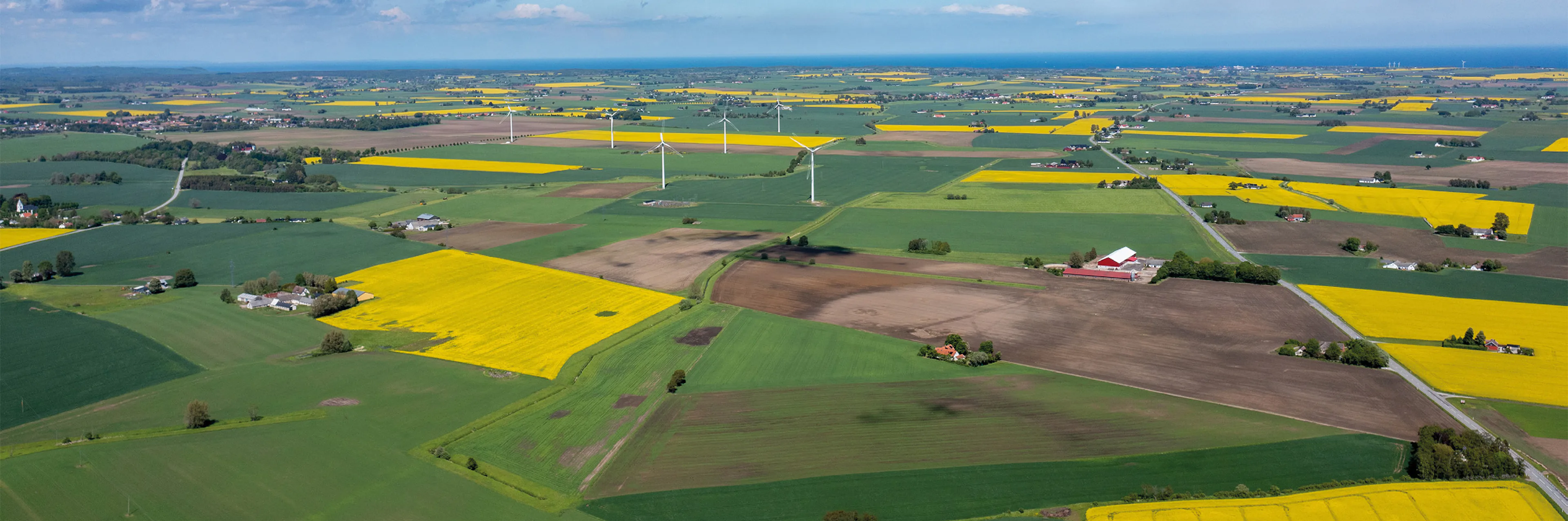 Main image for Skånefrö