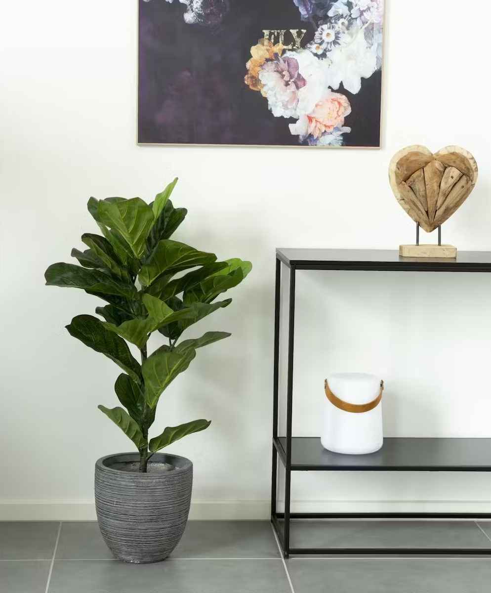 Konstgjorda växter - Fiddle