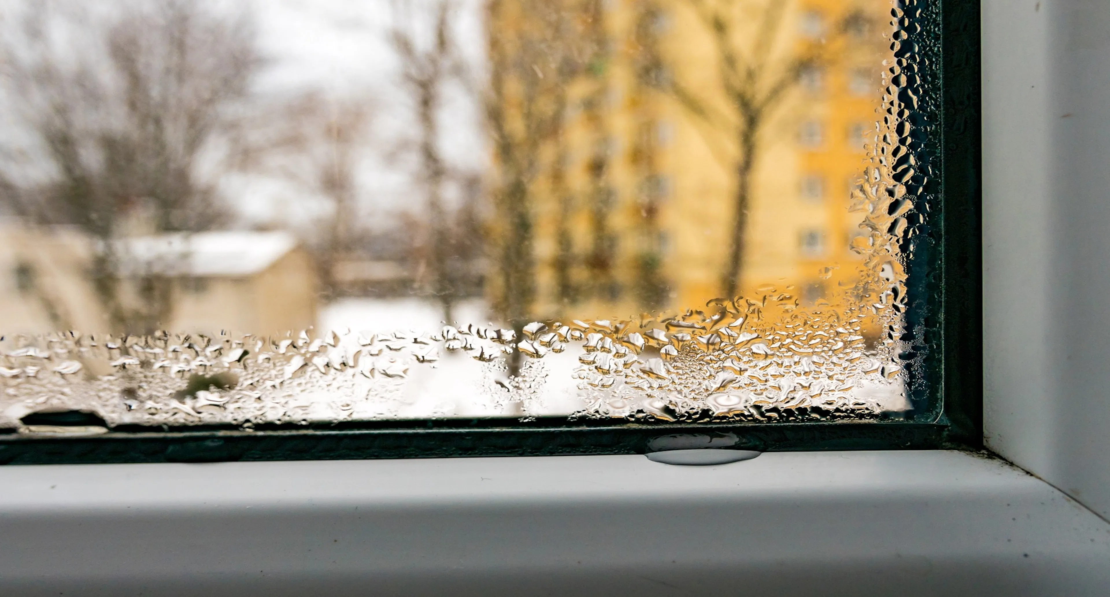 Imma och kondens på fönster – hur farligt är det?