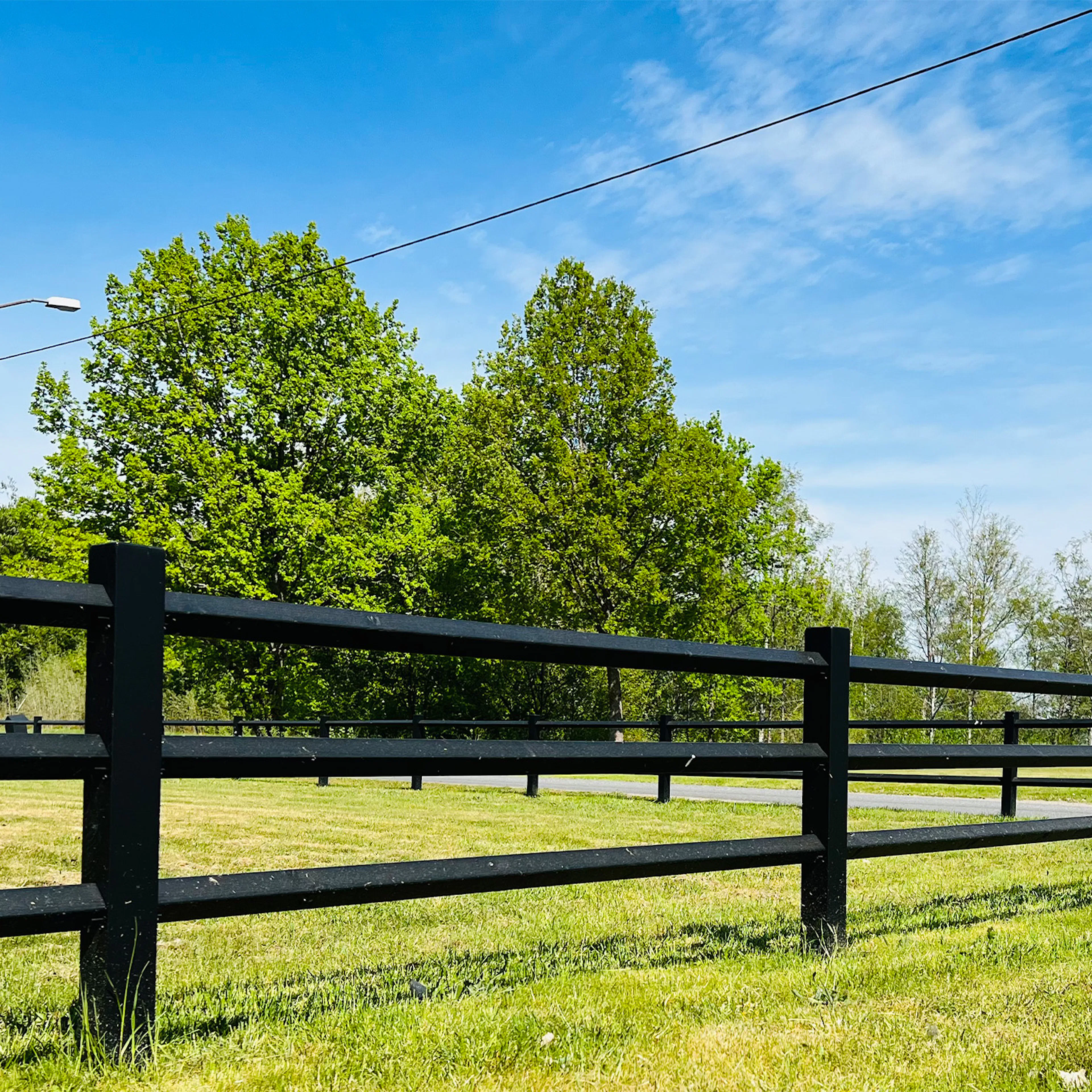 recal_galleri2_2024.jpg