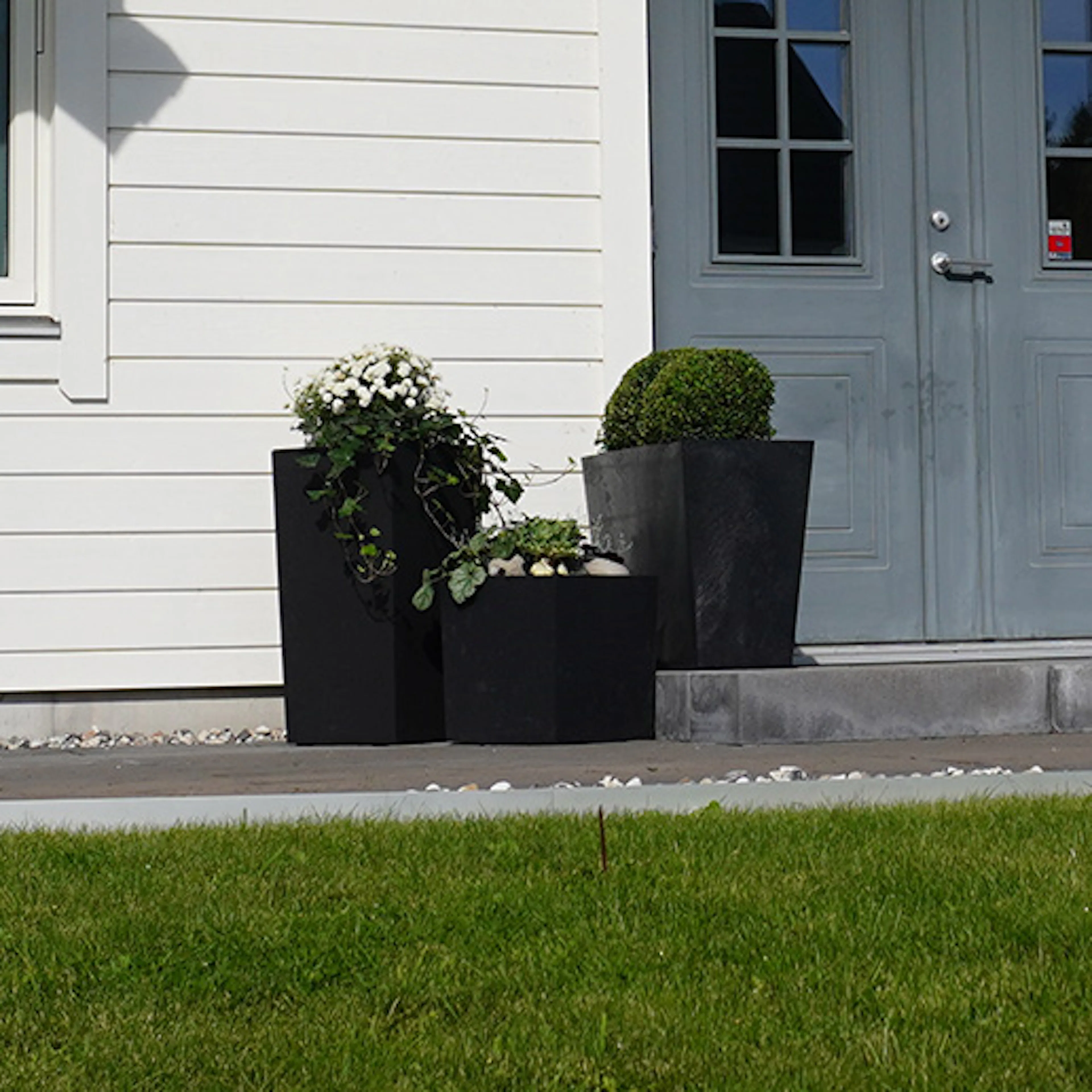 Plantering