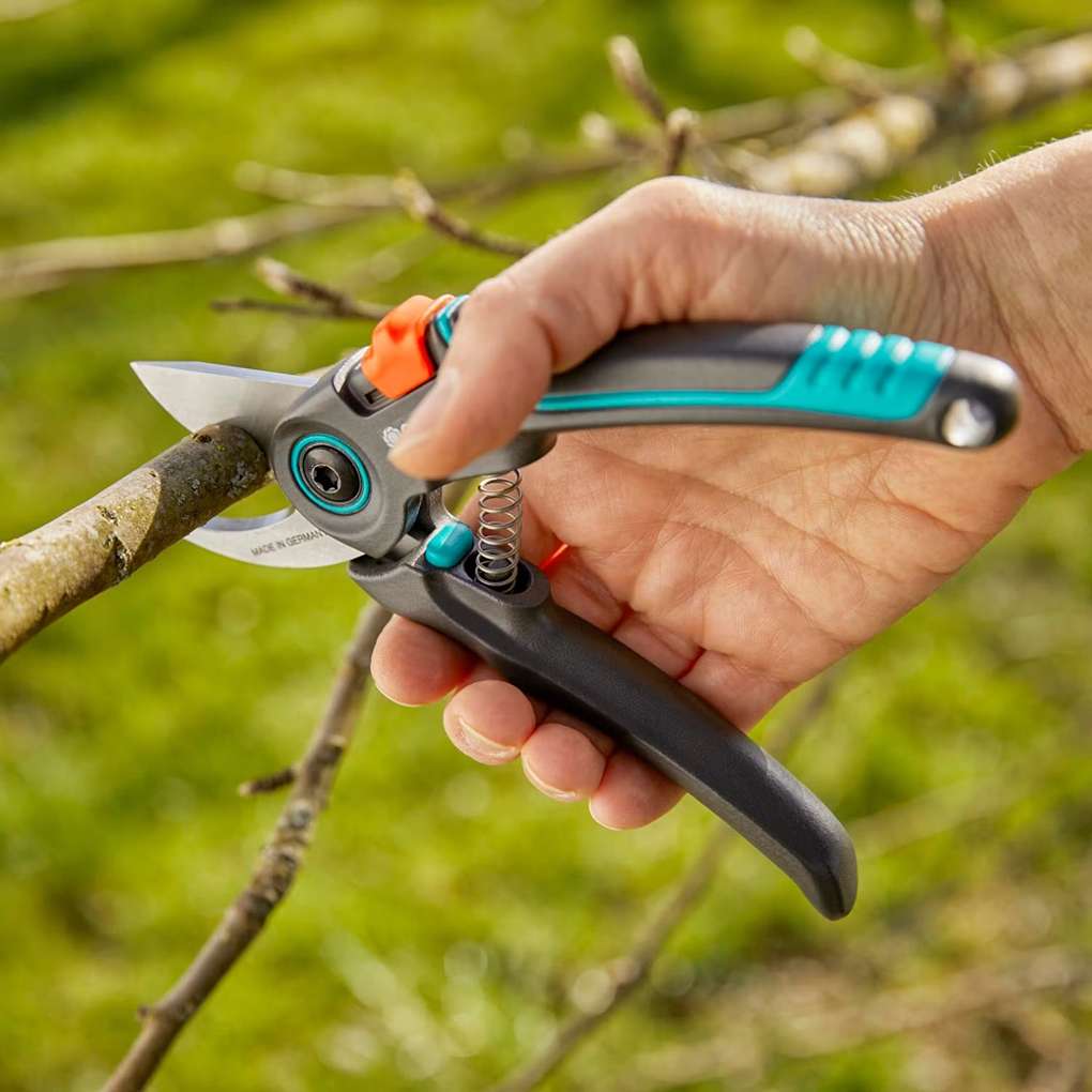 Beskära och klippa tujahäck -Sekatör ExpertCut Gardena