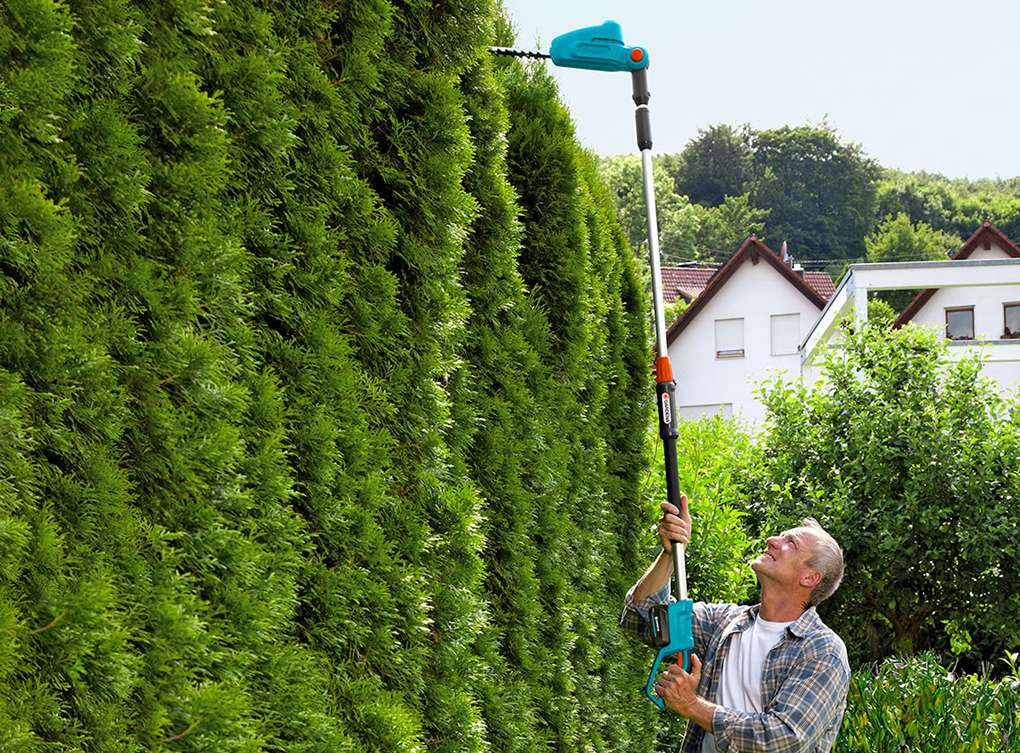 Beskära och klippa tujahäck - teleskopisk-hacksax-gardena-ths-42-och-18v-p4a-komplett-25ah-batteri-plus-standardladdare